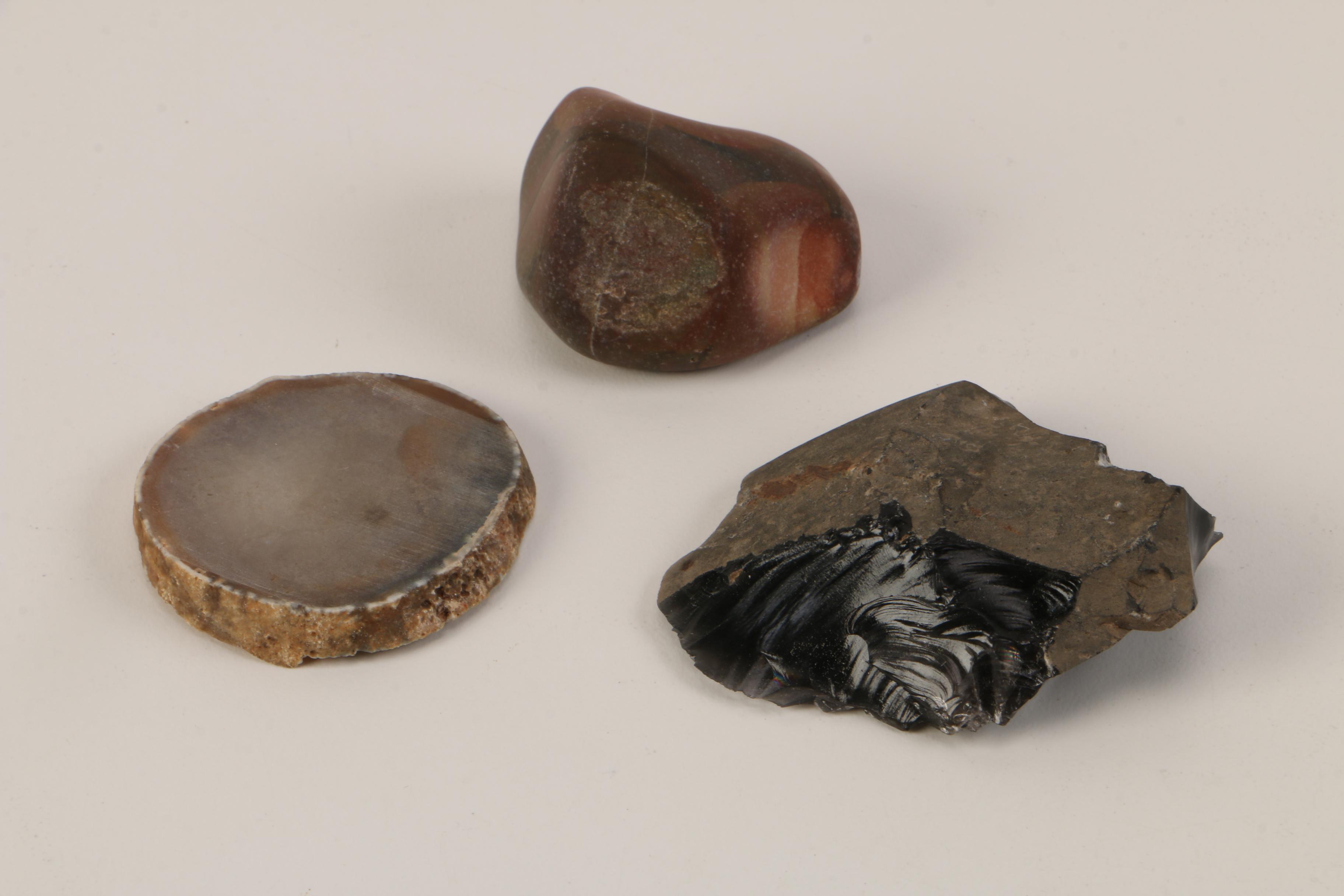 Collection of Rock and Mineral Specimens