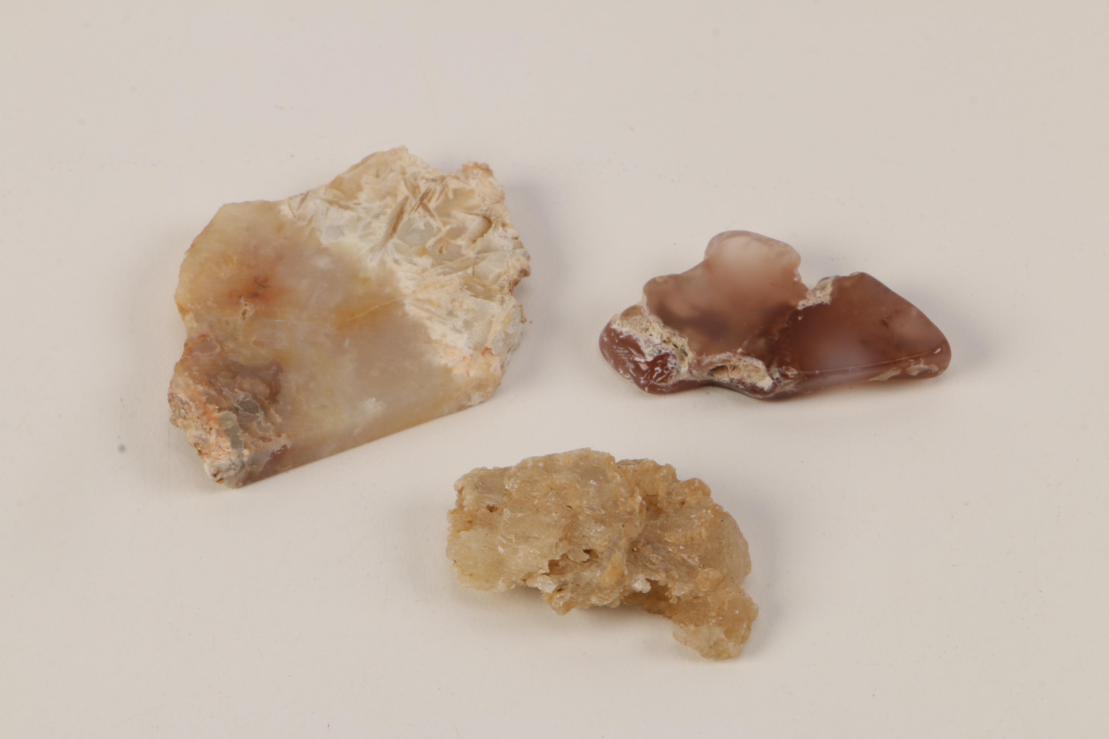 Collection of Rock and Mineral Specimens