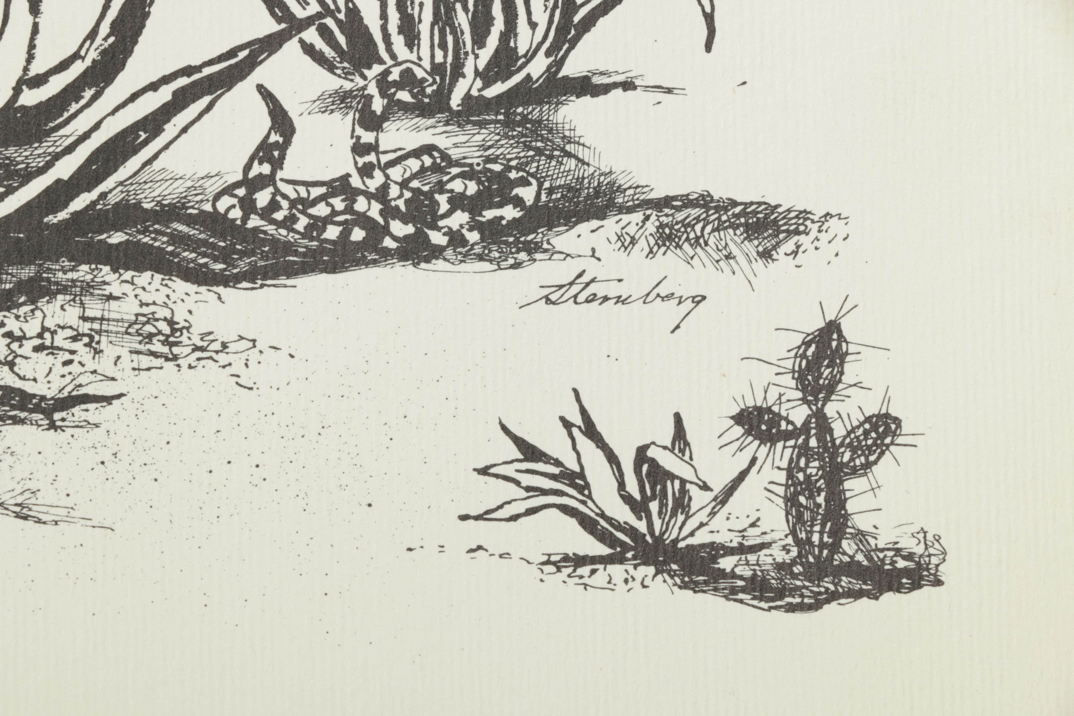 Vintage Mid-Century Folio of Loose Leaf Lithographs "27 Contemporary American Artists"