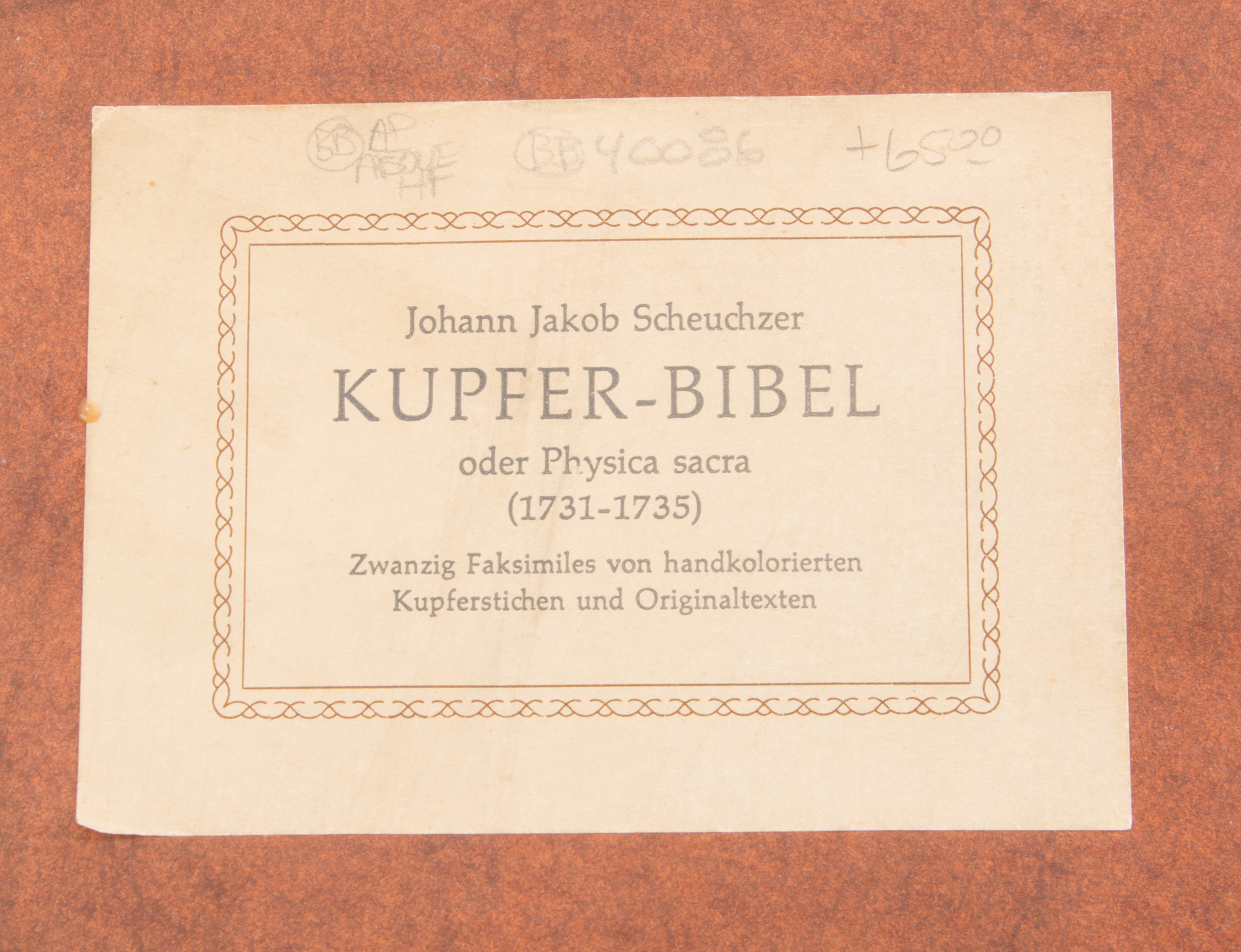 Vintage Reproduction Prints and Pages from Johann Jakob Scheuchzer's "Physica Sacra"