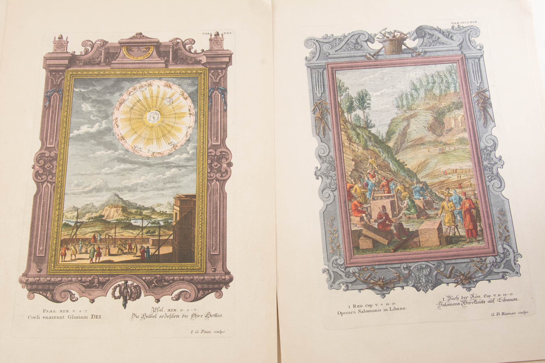Vintage Reproduction Prints and Pages from Johann Jakob Scheuchzer's "Physica Sacra"