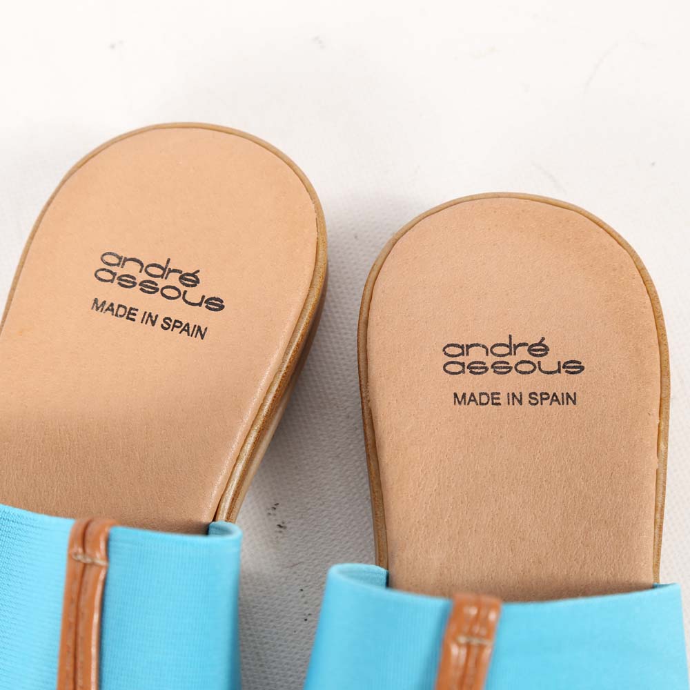 André Assous Nice Thong Sandal