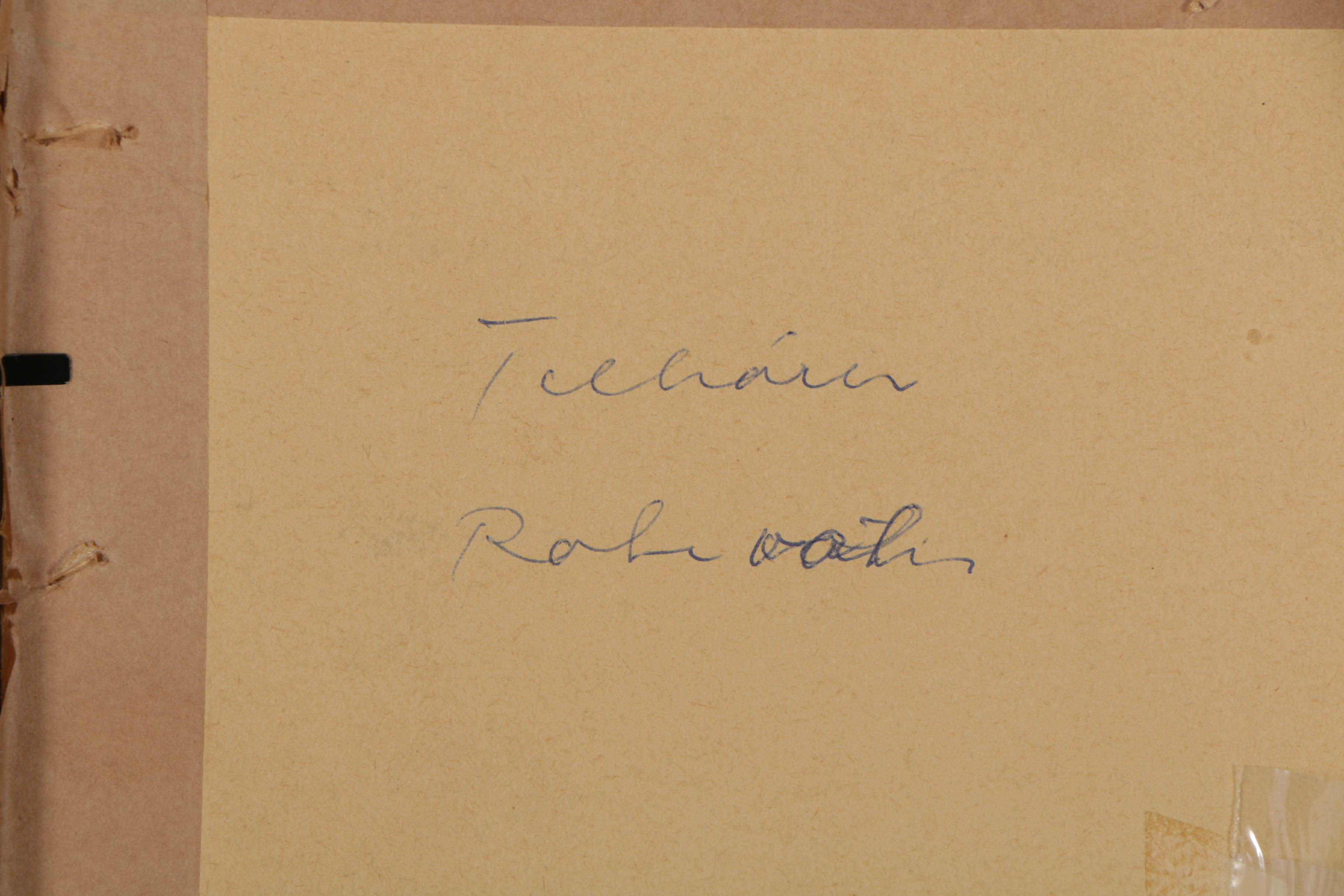 Inge Rotevatn Ink Drawing on Paper "Cathedral City"