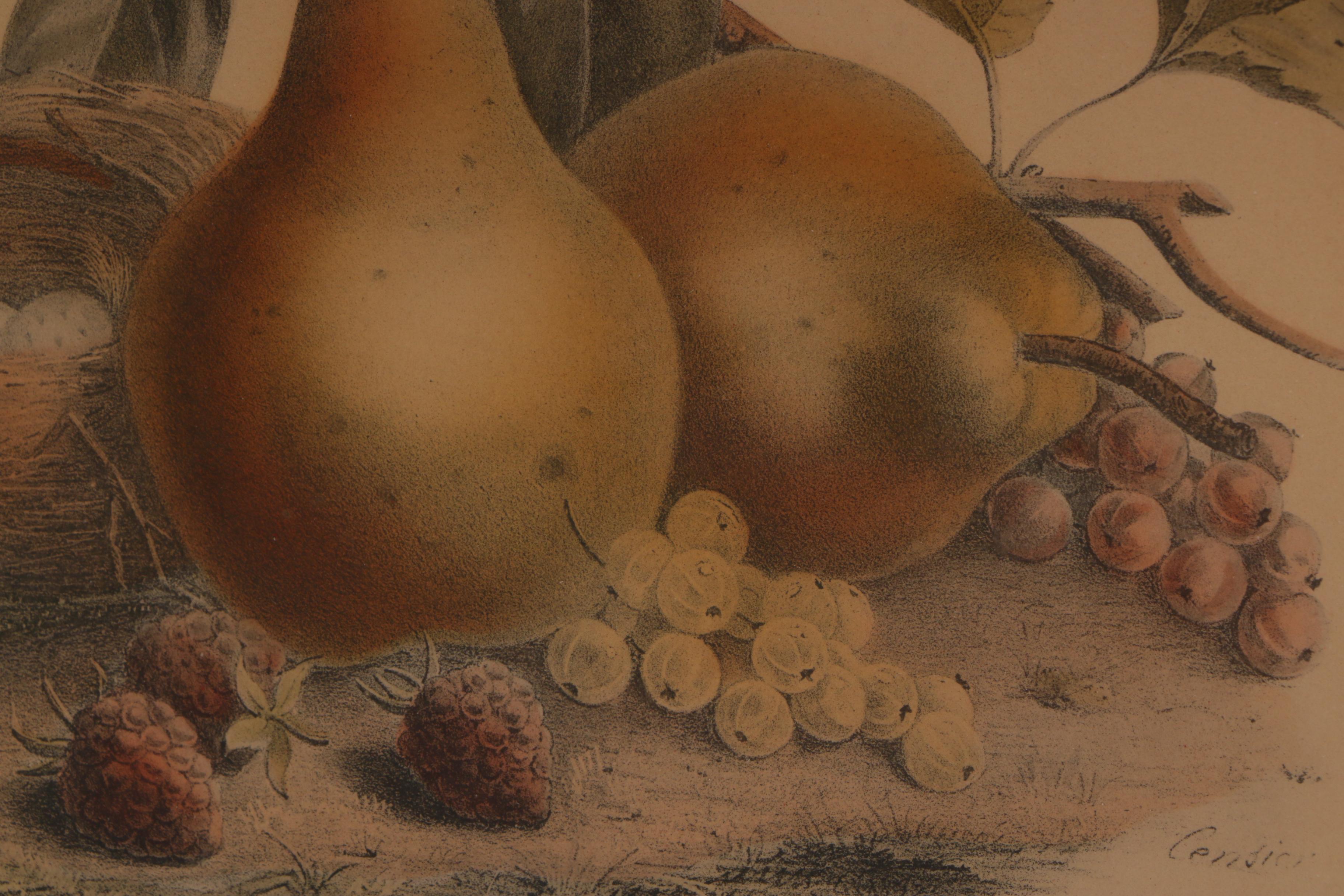 Antique Chromolithograph of Still Life with Fruit
