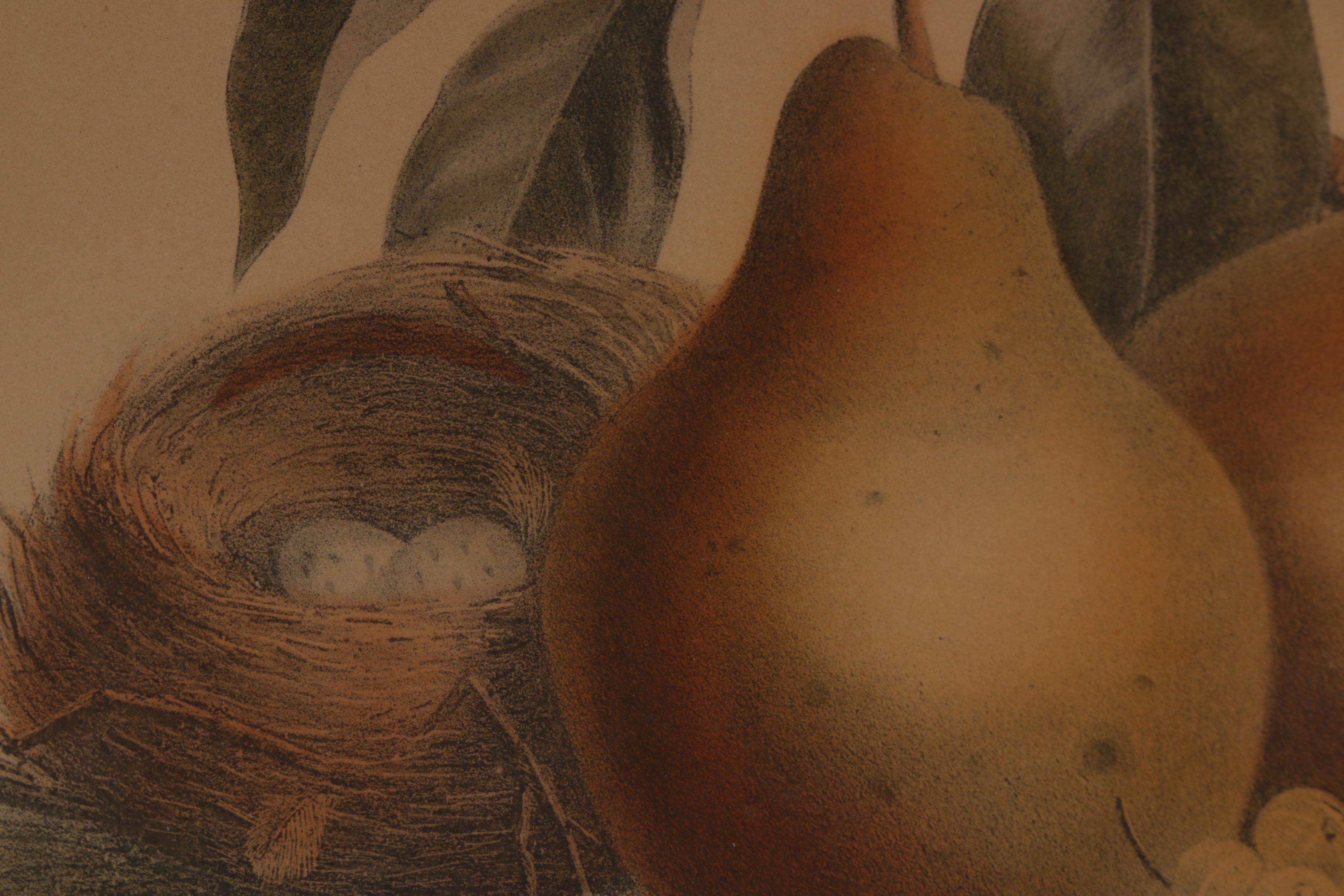 Antique Chromolithograph of Still Life with Fruit