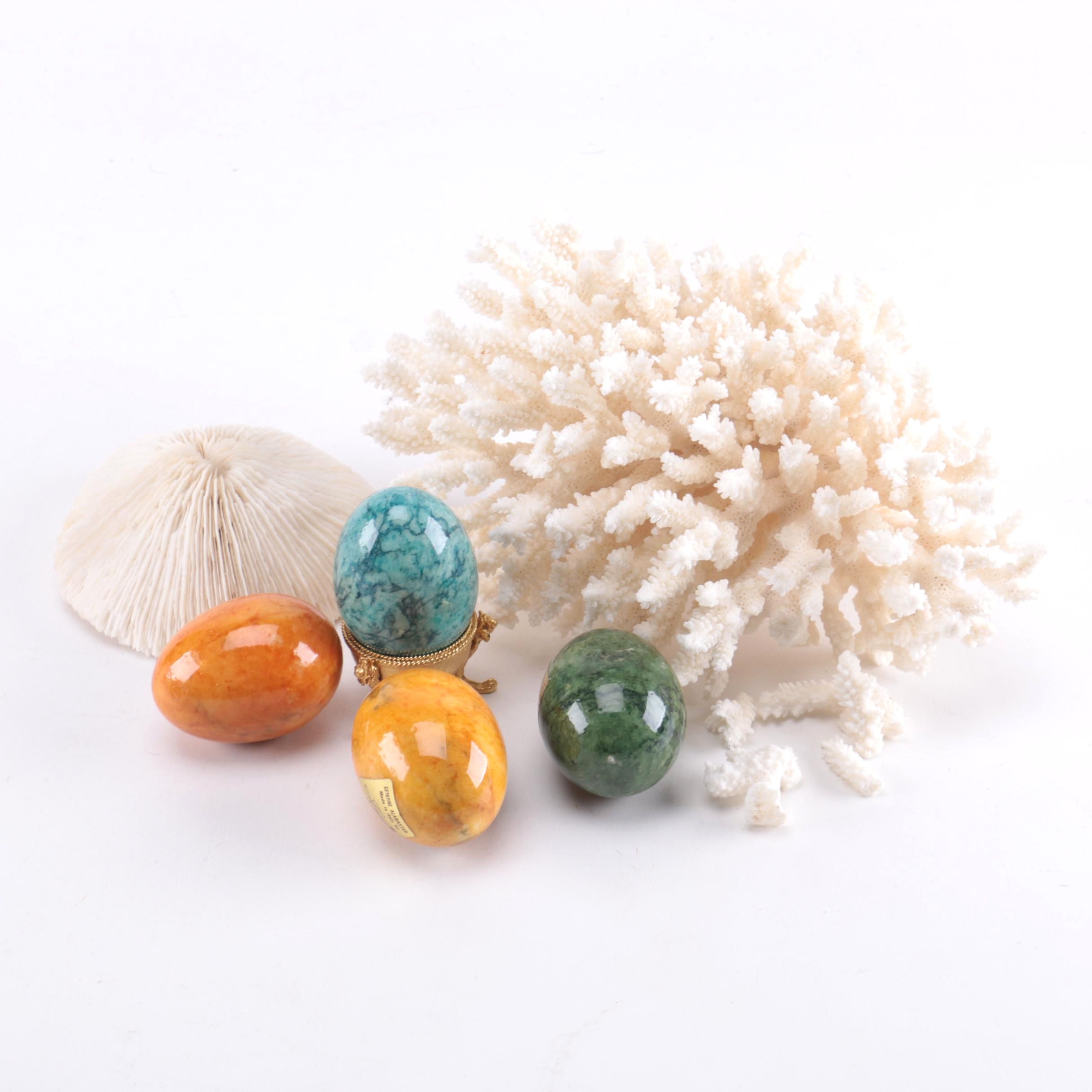 Dyed Alabaster Eggs and Recent Scleractinian Coral Specimens