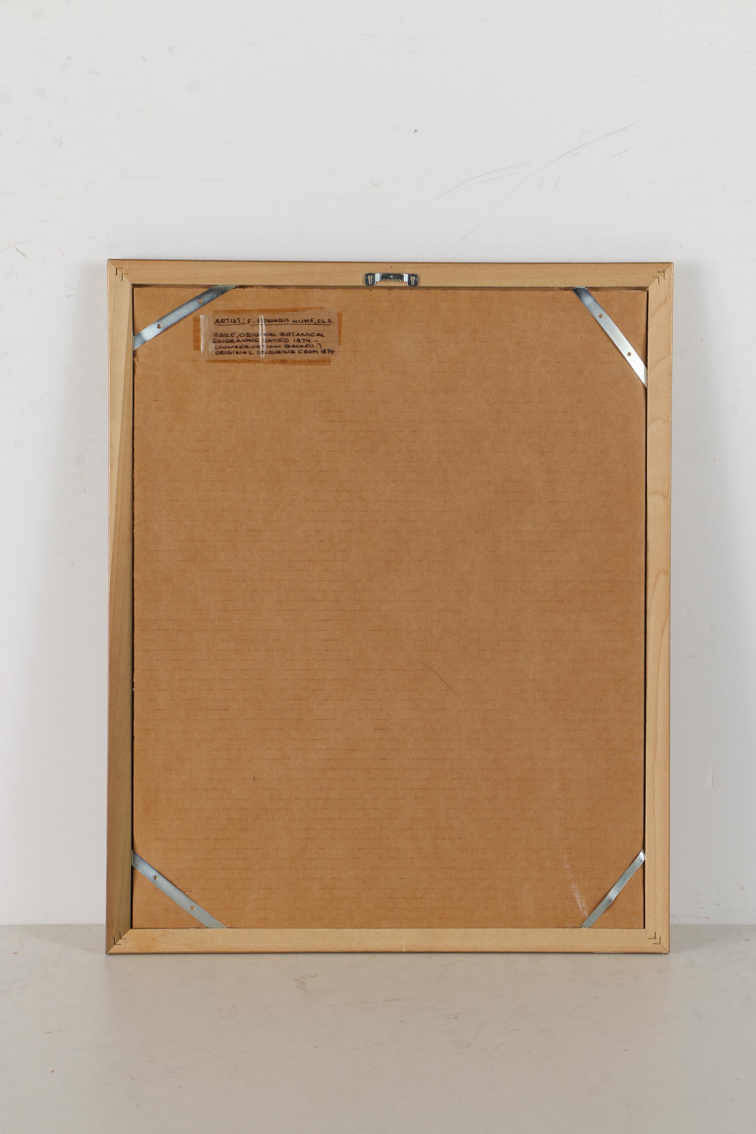 Pair of Hand-Colored Engravings after A. Chandler of Camellias