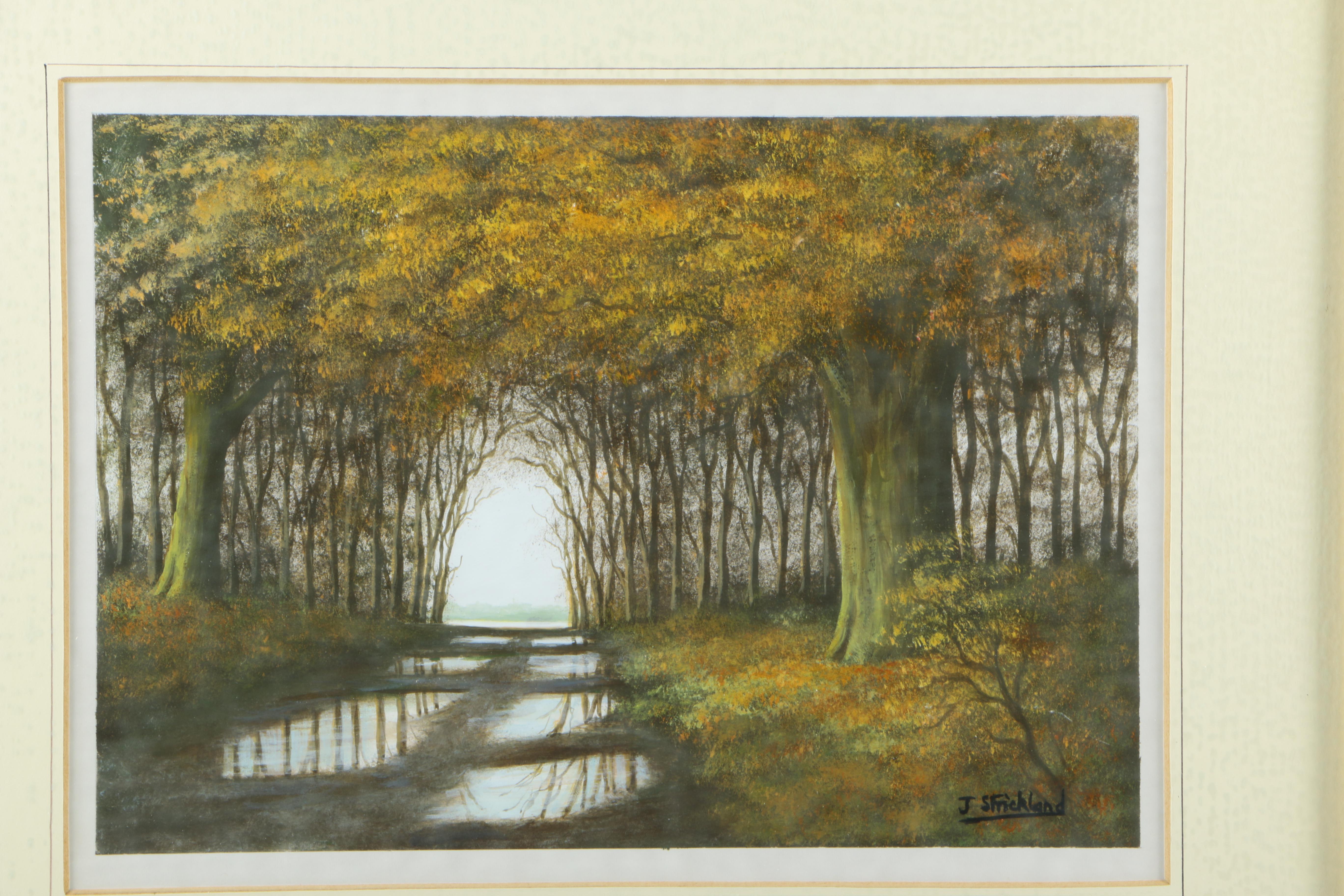 J. Strickland Pastel and Oil Painting on Paper "Grovely Woods"