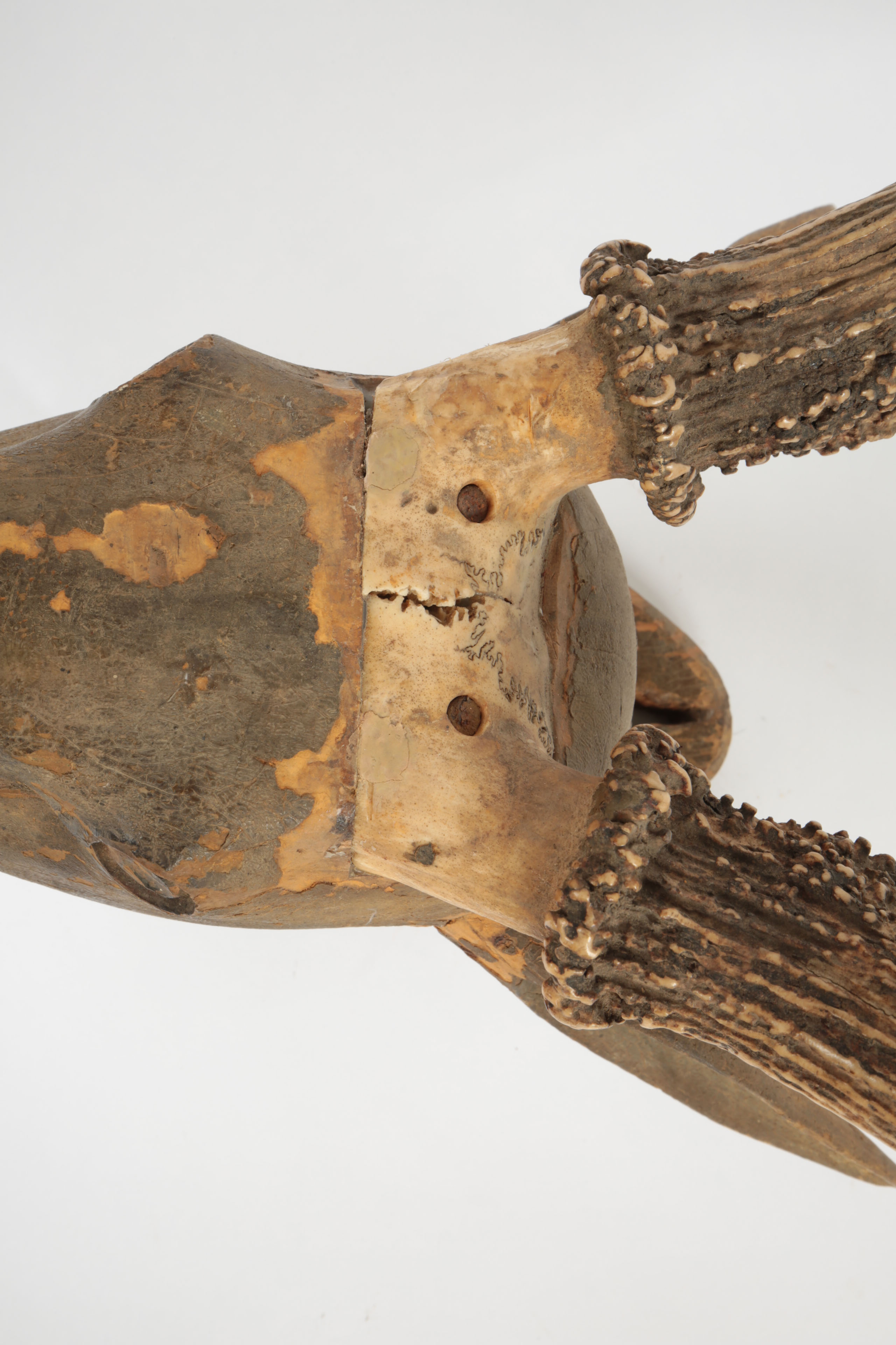 Carved Wood Sculpture with Mounted Deer Antlers