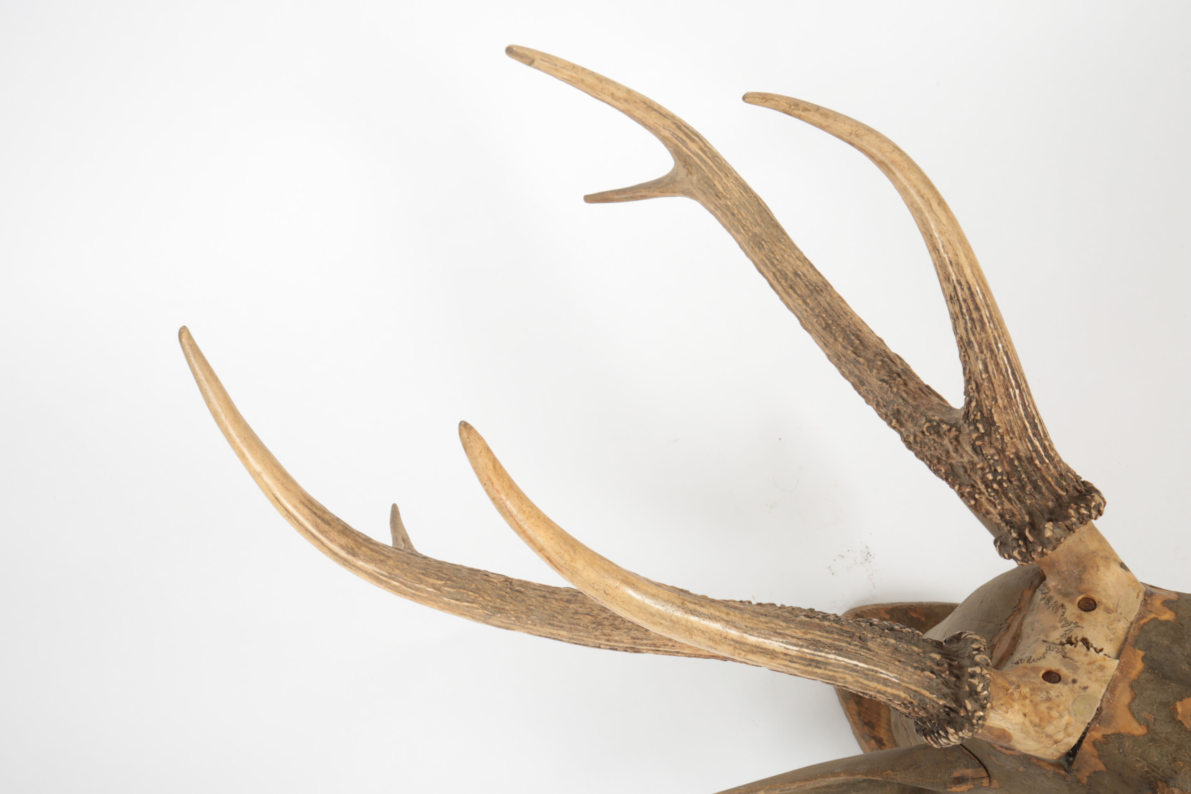 Carved Wood Sculpture with Mounted Deer Antlers