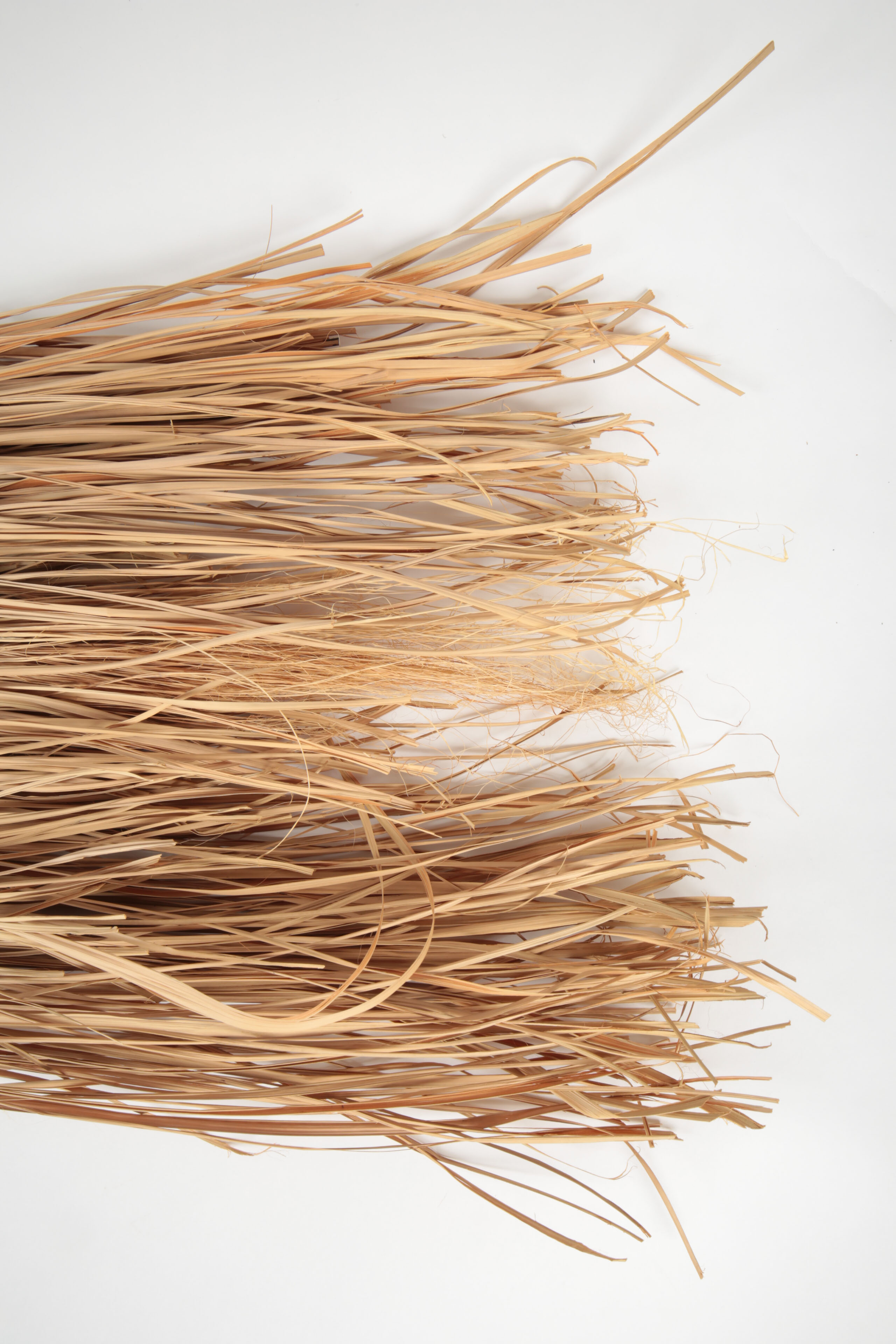 Kawayurá Tribal Mask