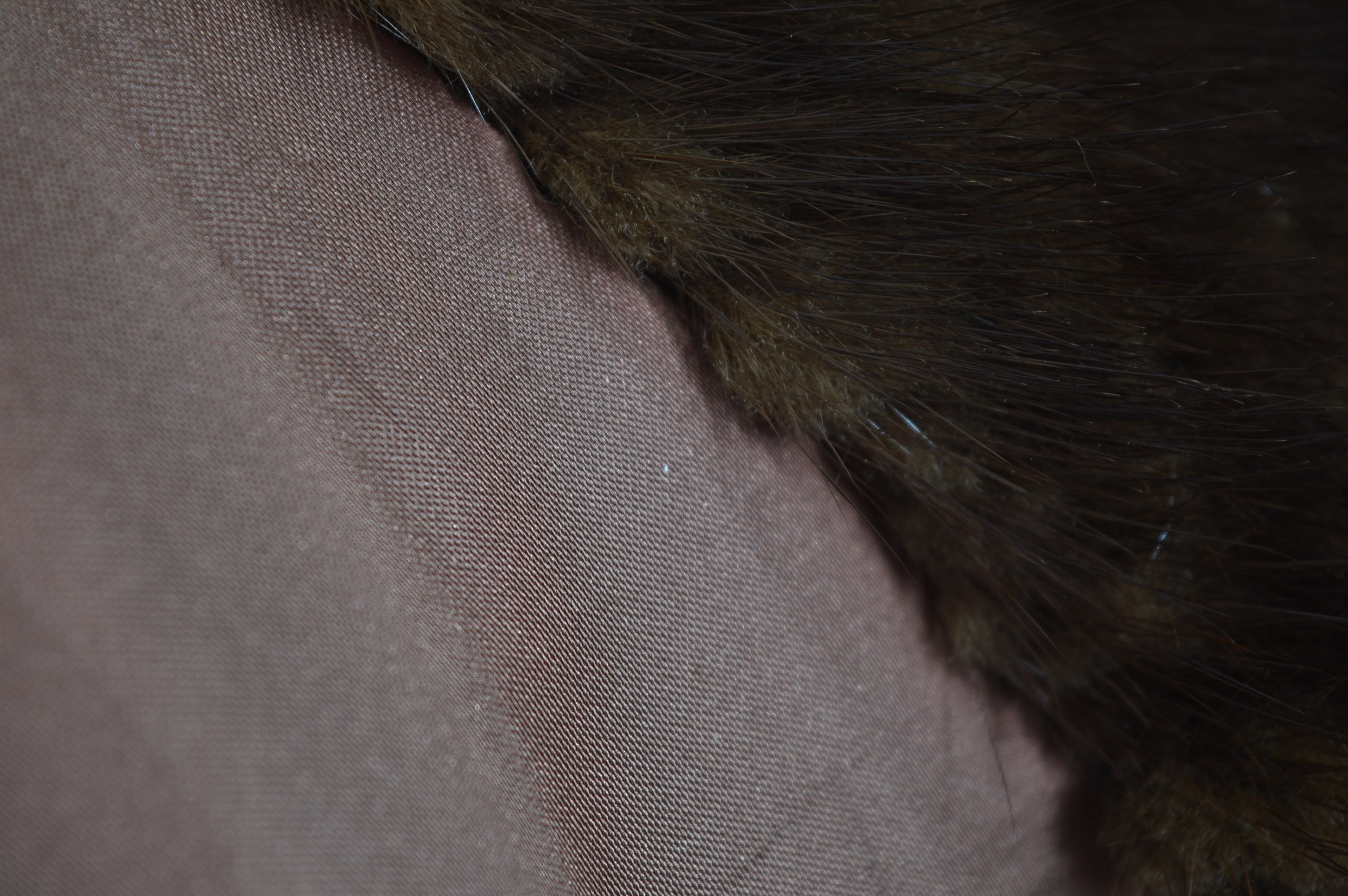 Vintage Women's Anderson Company Mink Fur Coat