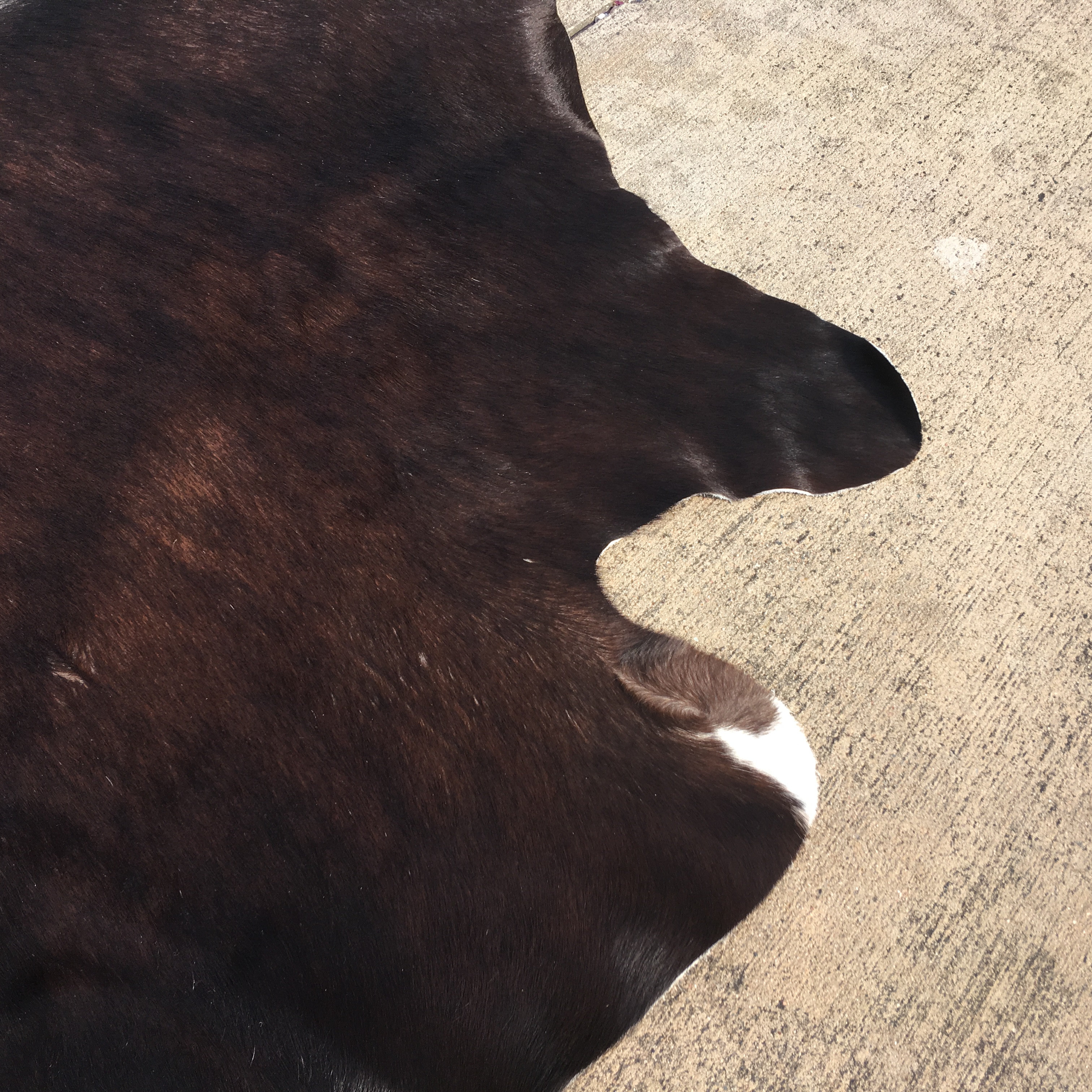 Ikea Koldby Cowhide Area Rug