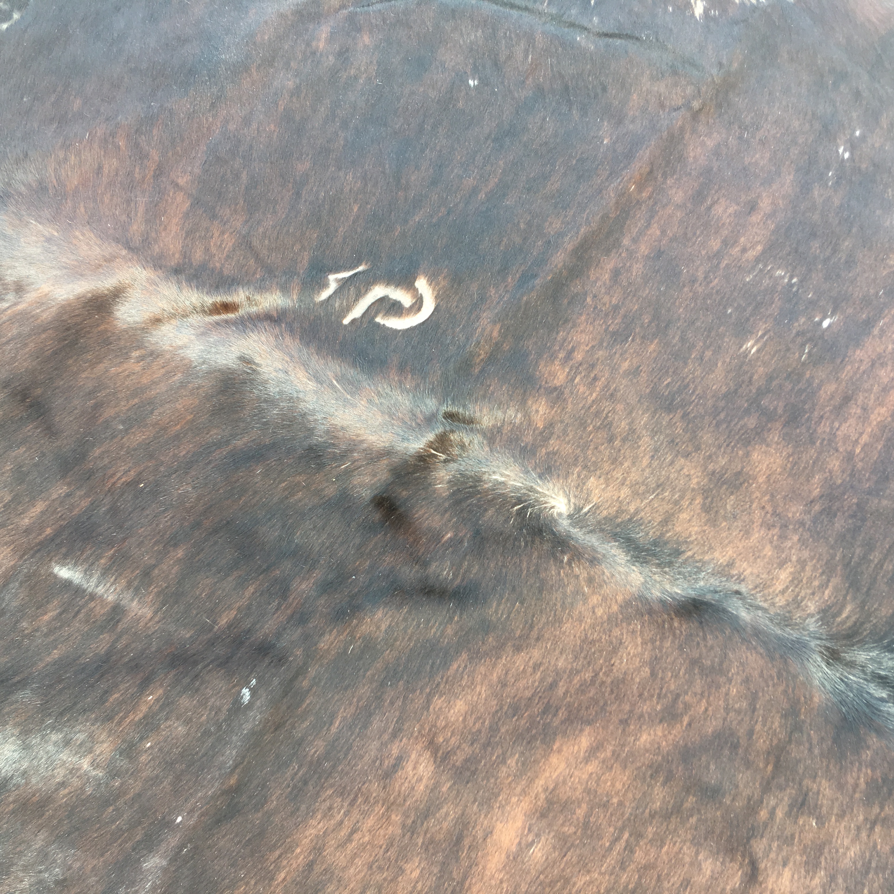 Ikea Koldby Cowhide Area Rug