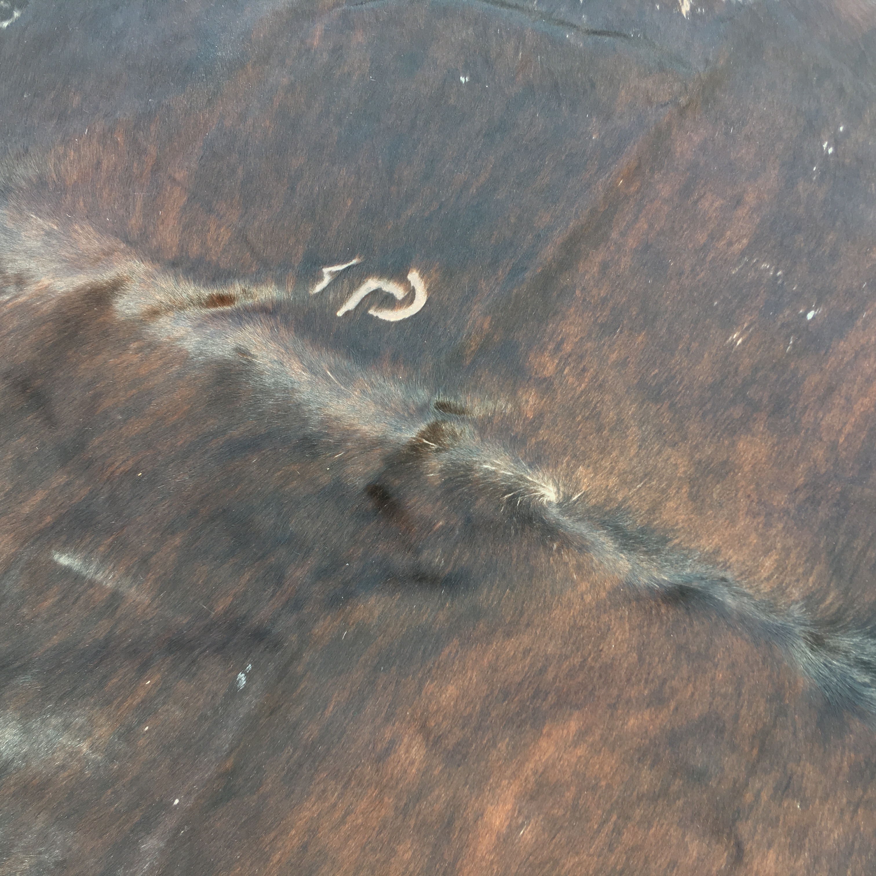 Ikea Koldby Cowhide Area Rug