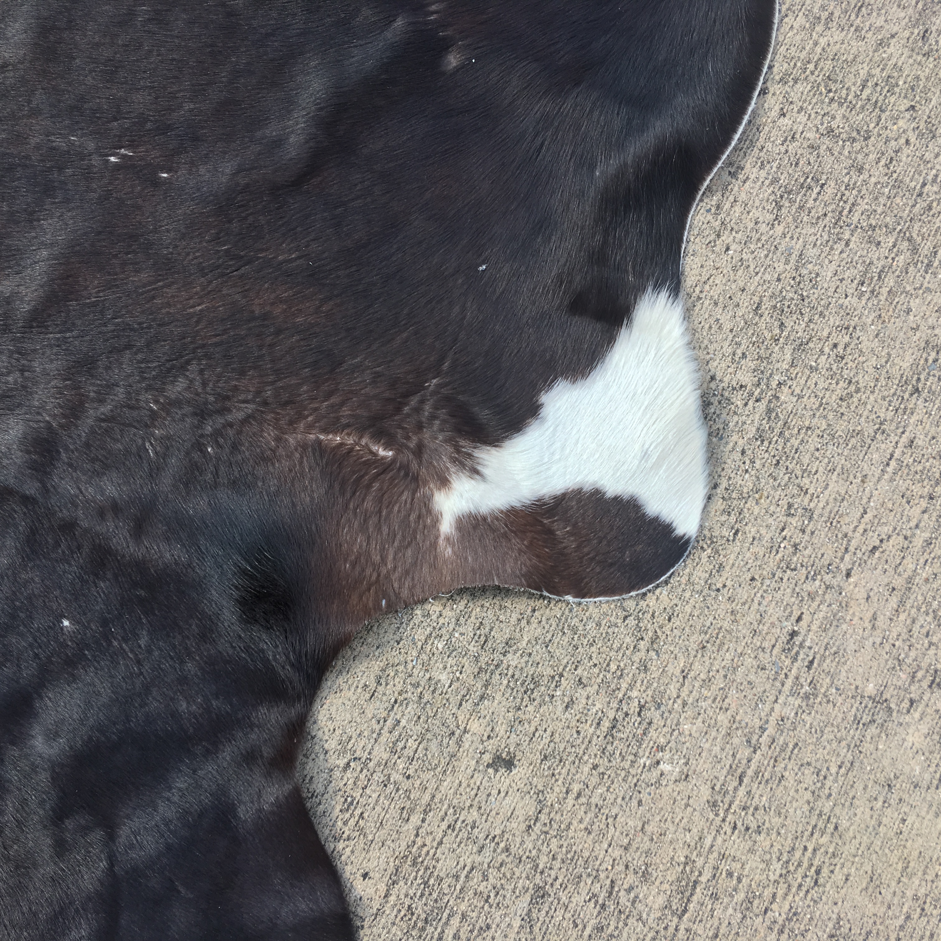 Ikea Koldby Cowhide Area Rug