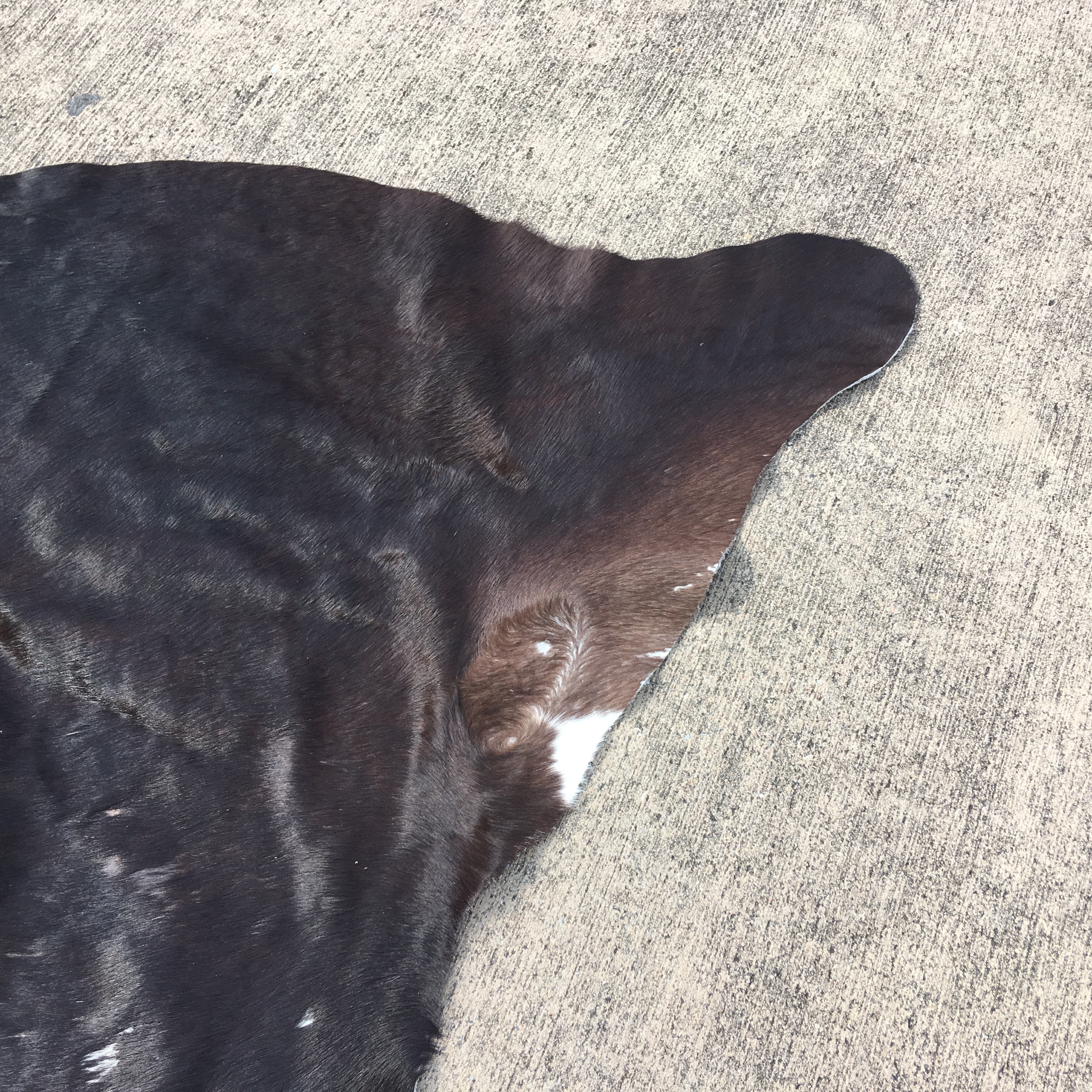 Ikea Koldby Cowhide Area Rug