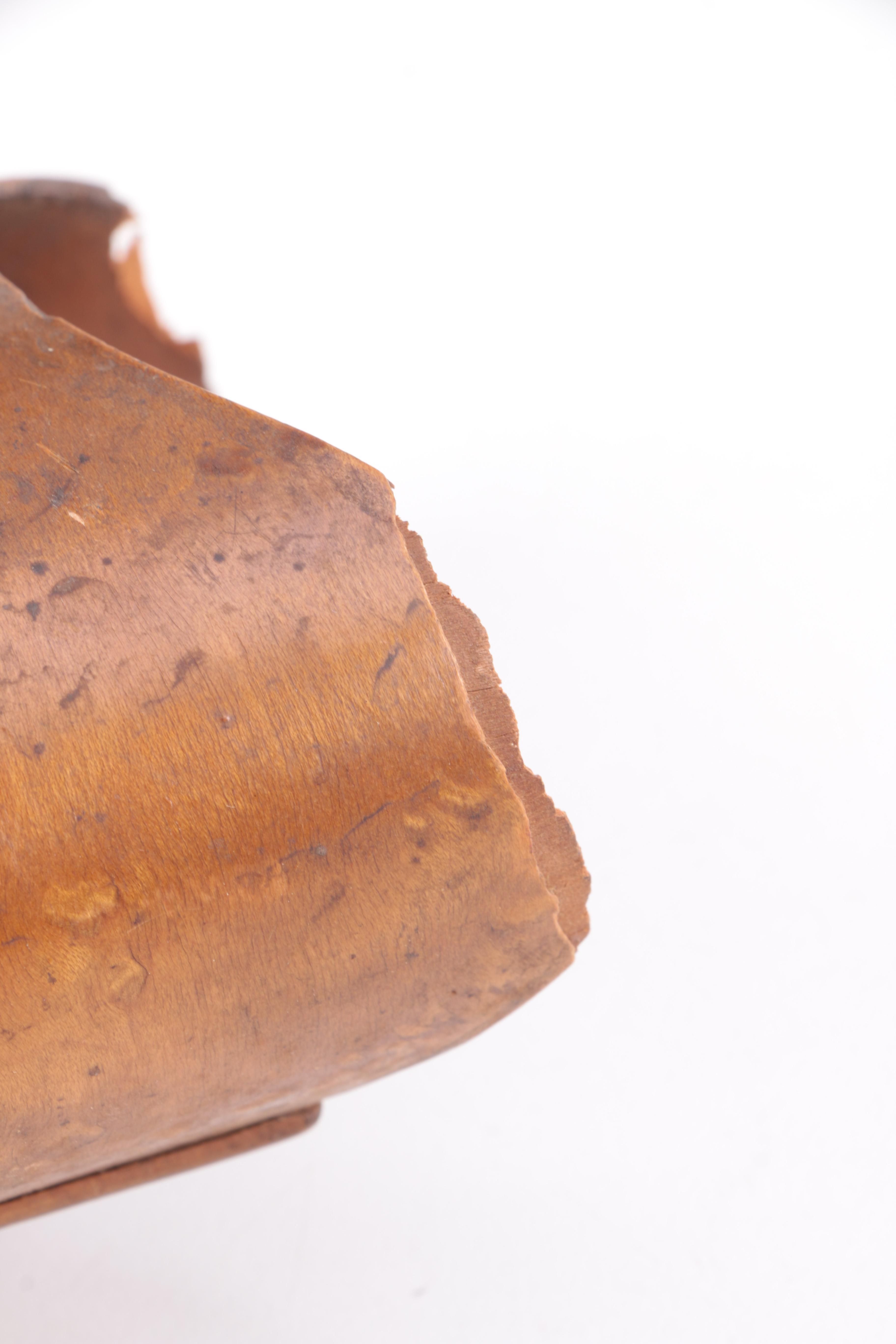 Stereoscopes and Slides