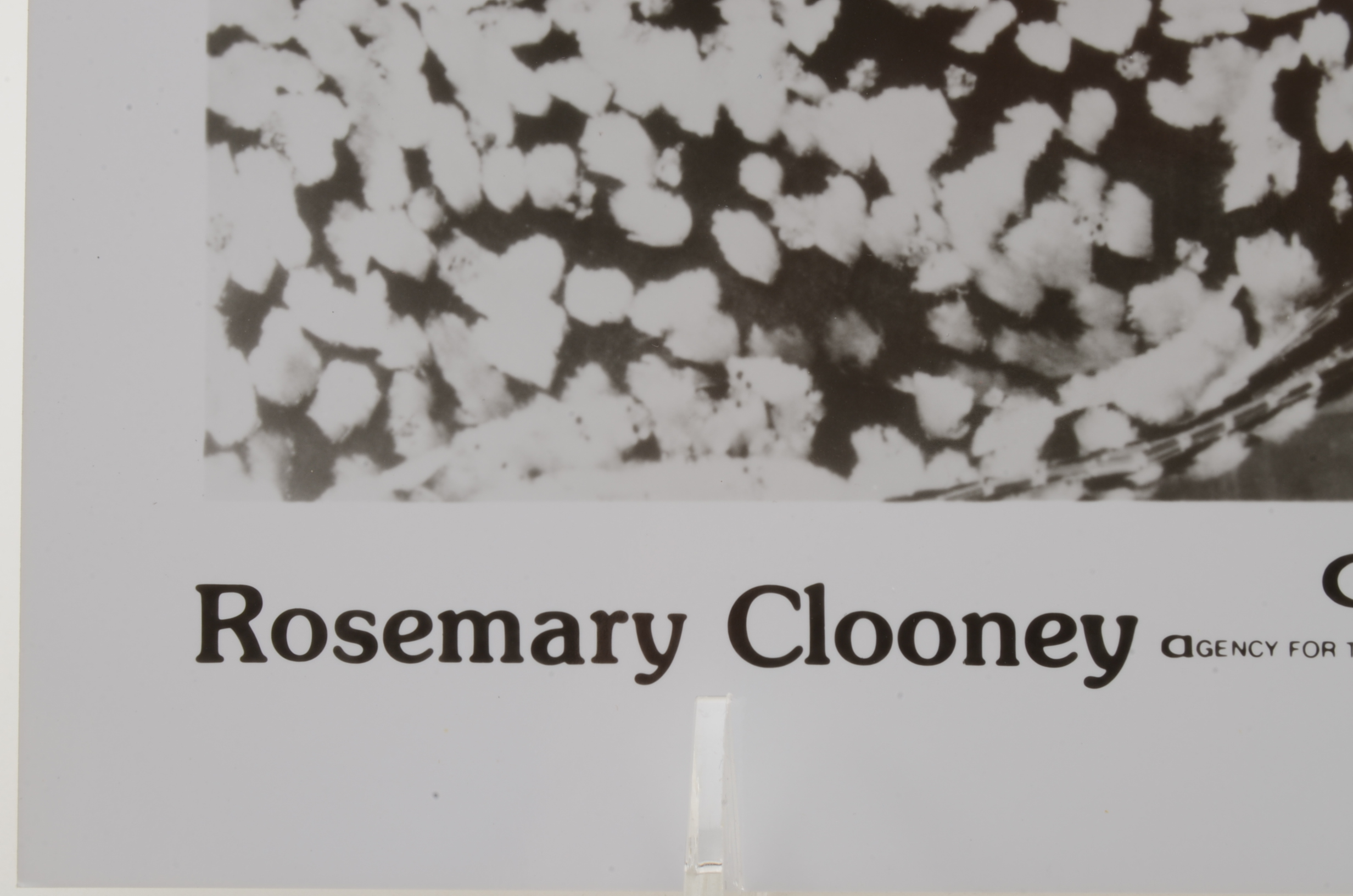 Singer and Actress Rosemary Clooney Signed Celebrity Photo