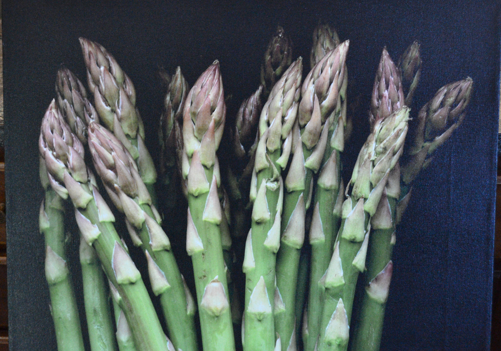 John Poignard Limited Edition Giclée on Canvas Titled "Asparagus"