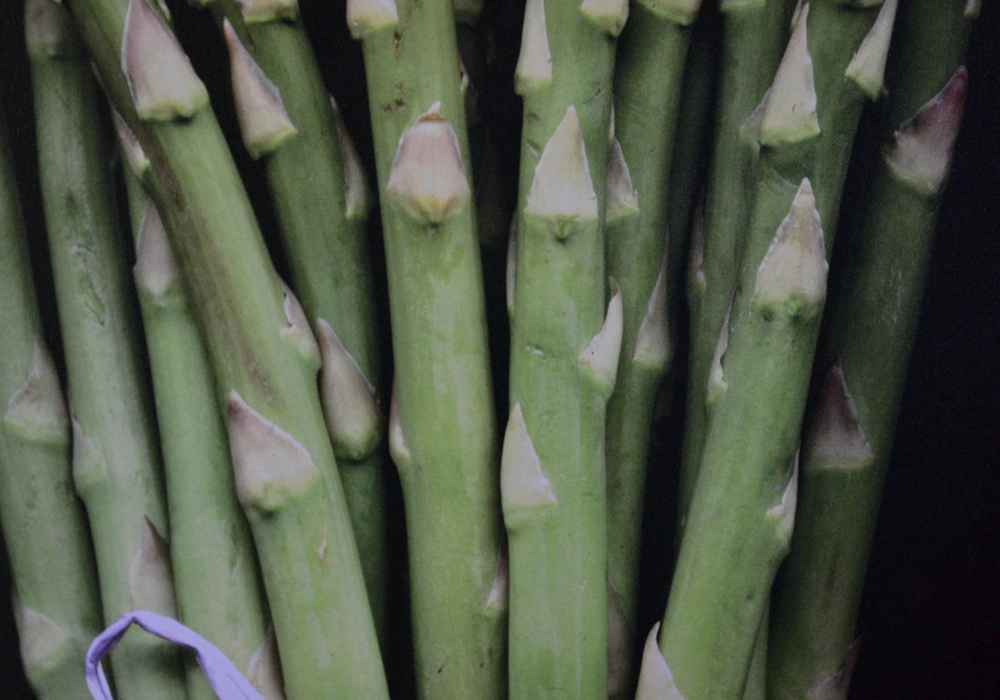 John Poignard Limited Edition Giclée on Canvas Titled "Asparagus"