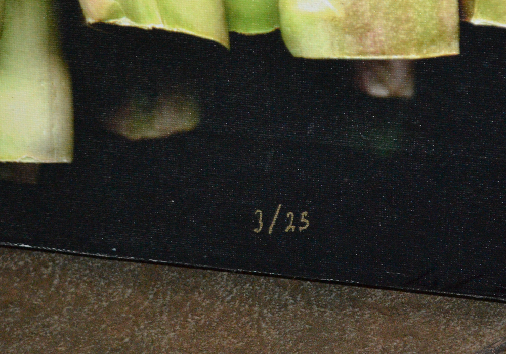 John Poignard Limited Edition Giclée on Canvas Titled "Asparagus"