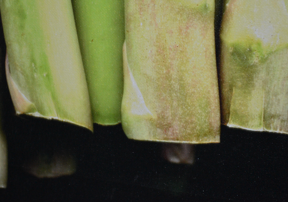 John Poignard Limited Edition Giclée on Canvas Titled "Asparagus"