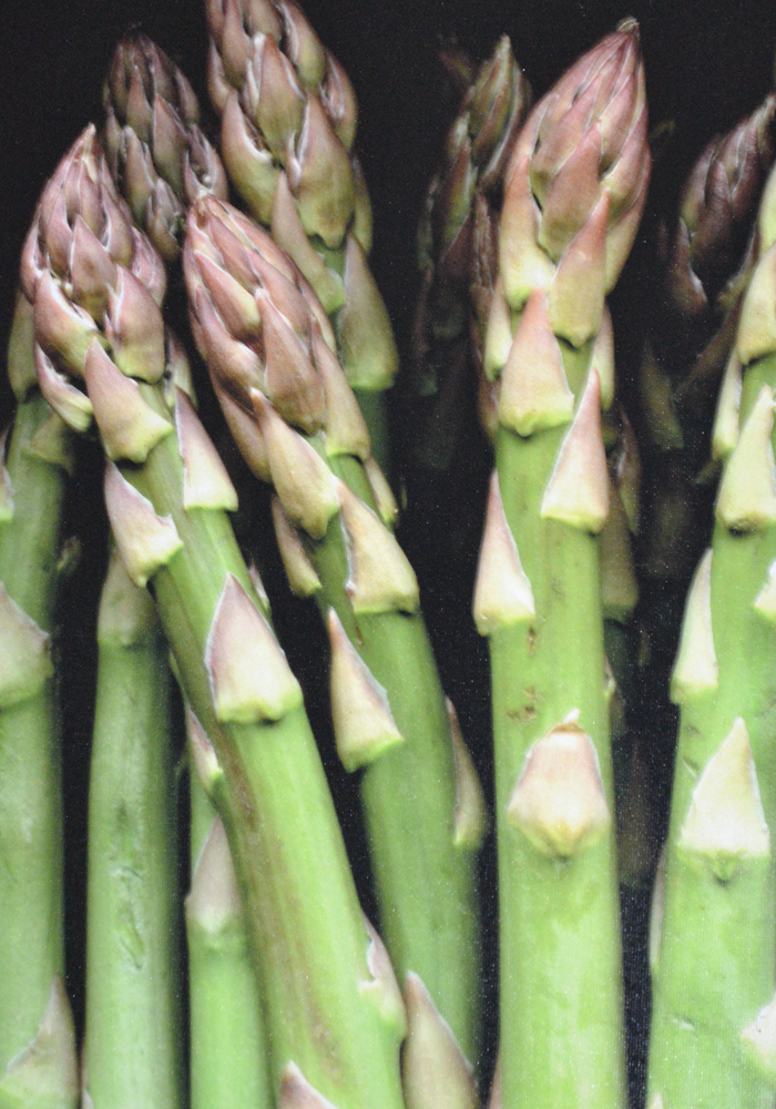 John Poignard Limited Edition Giclée on Canvas Titled "Asparagus"
