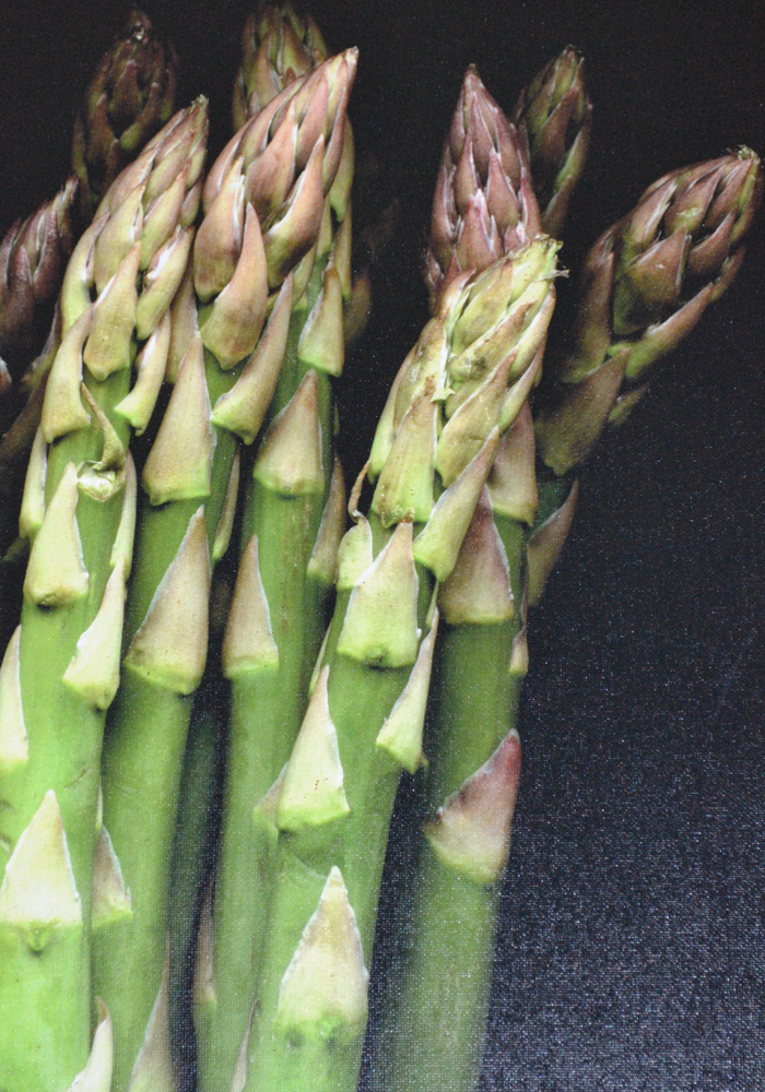 John Poignard Limited Edition Giclée on Canvas Titled "Asparagus"