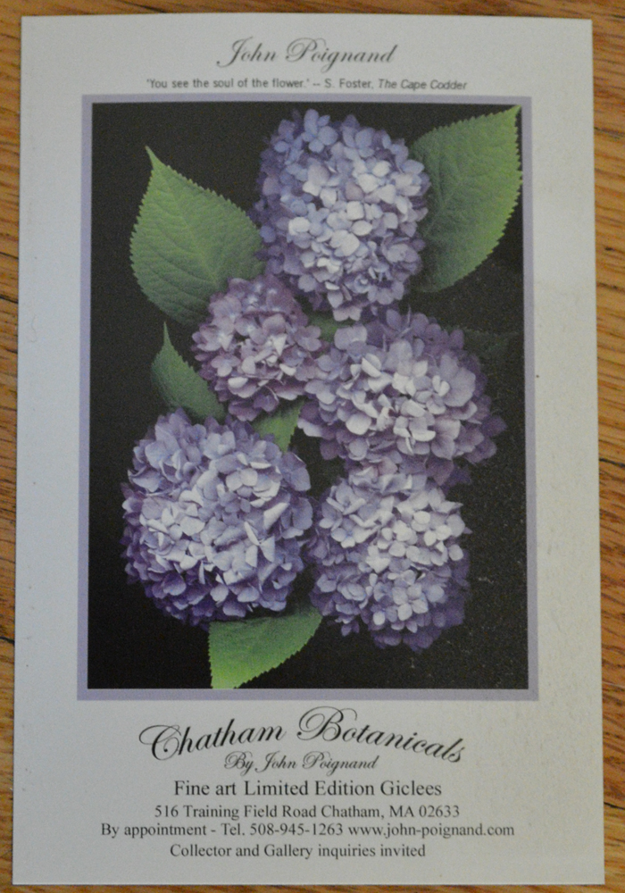 John Poignard Limited Edition Giclée on Canvas Titled "Asparagus"