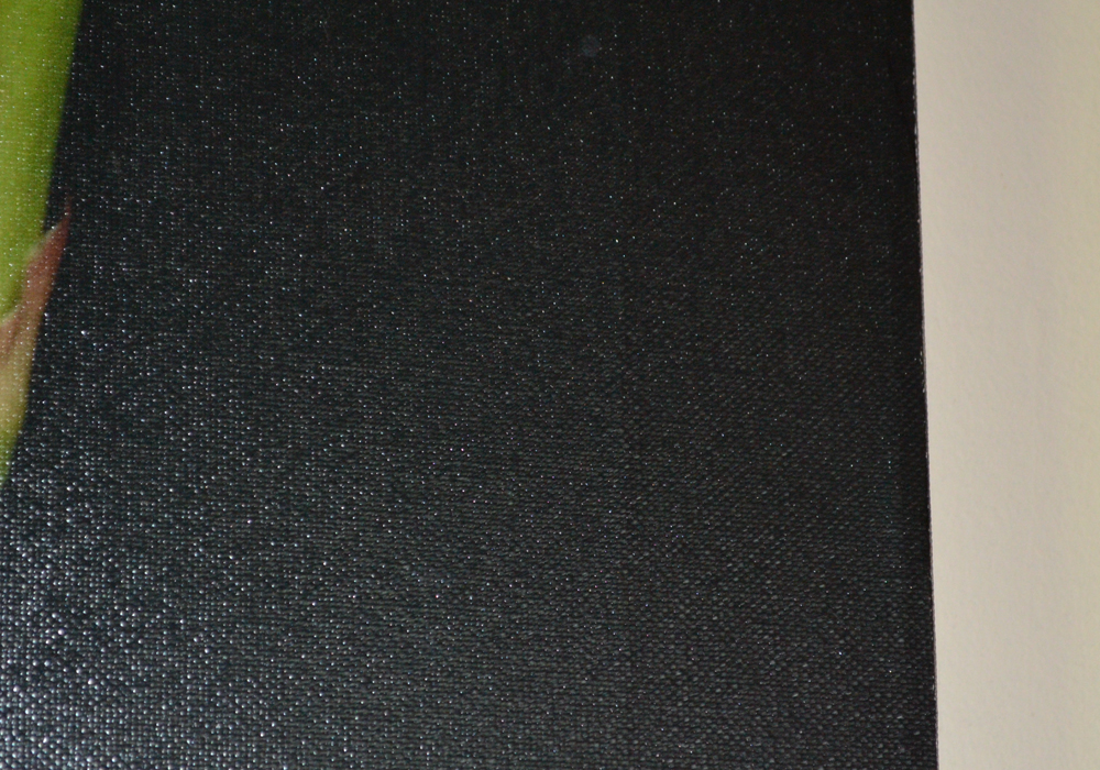 John Poignard Limited Edition Giclée on Canvas Titled "Asparagus"