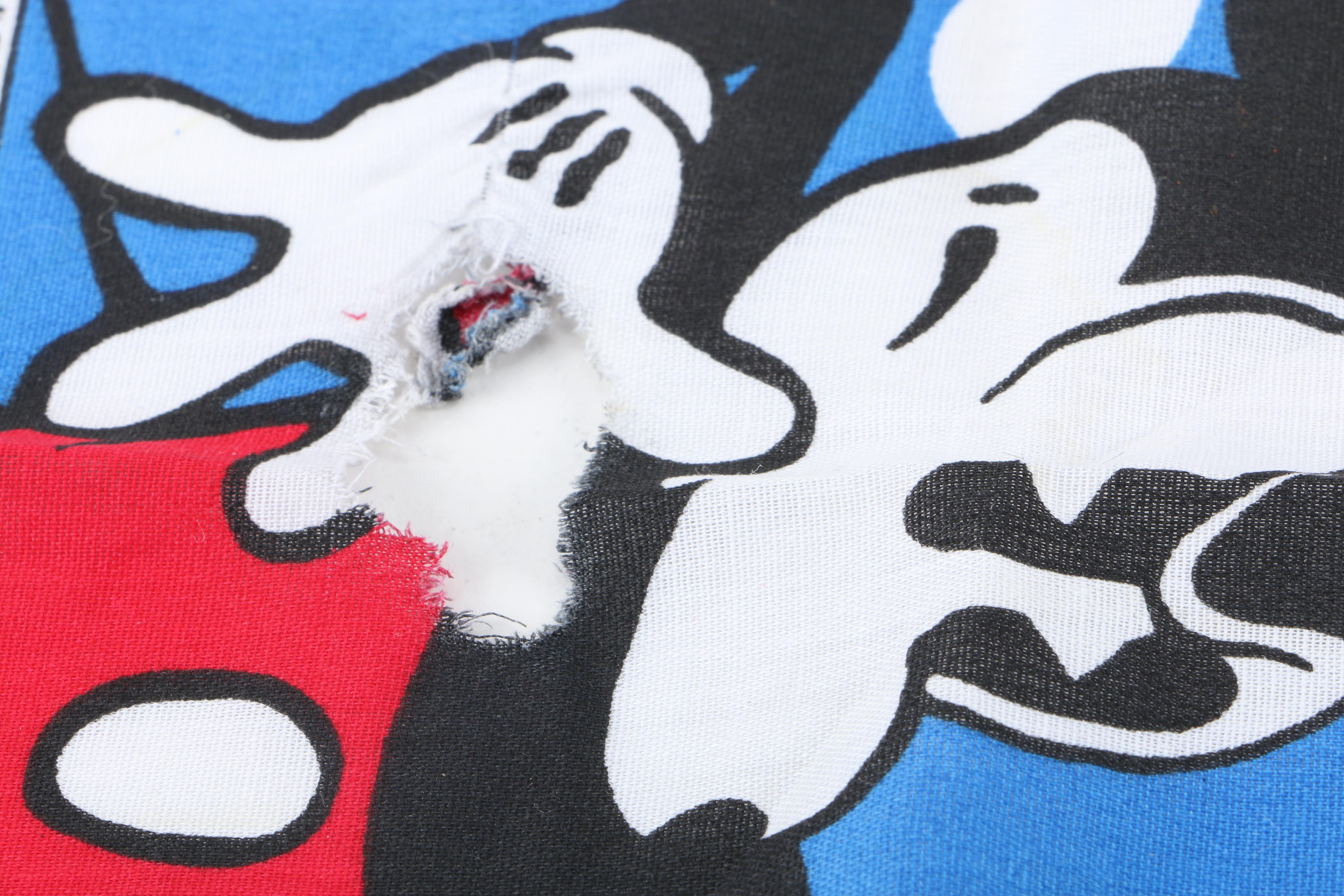 Disney and Mickey Mouse Collectibles