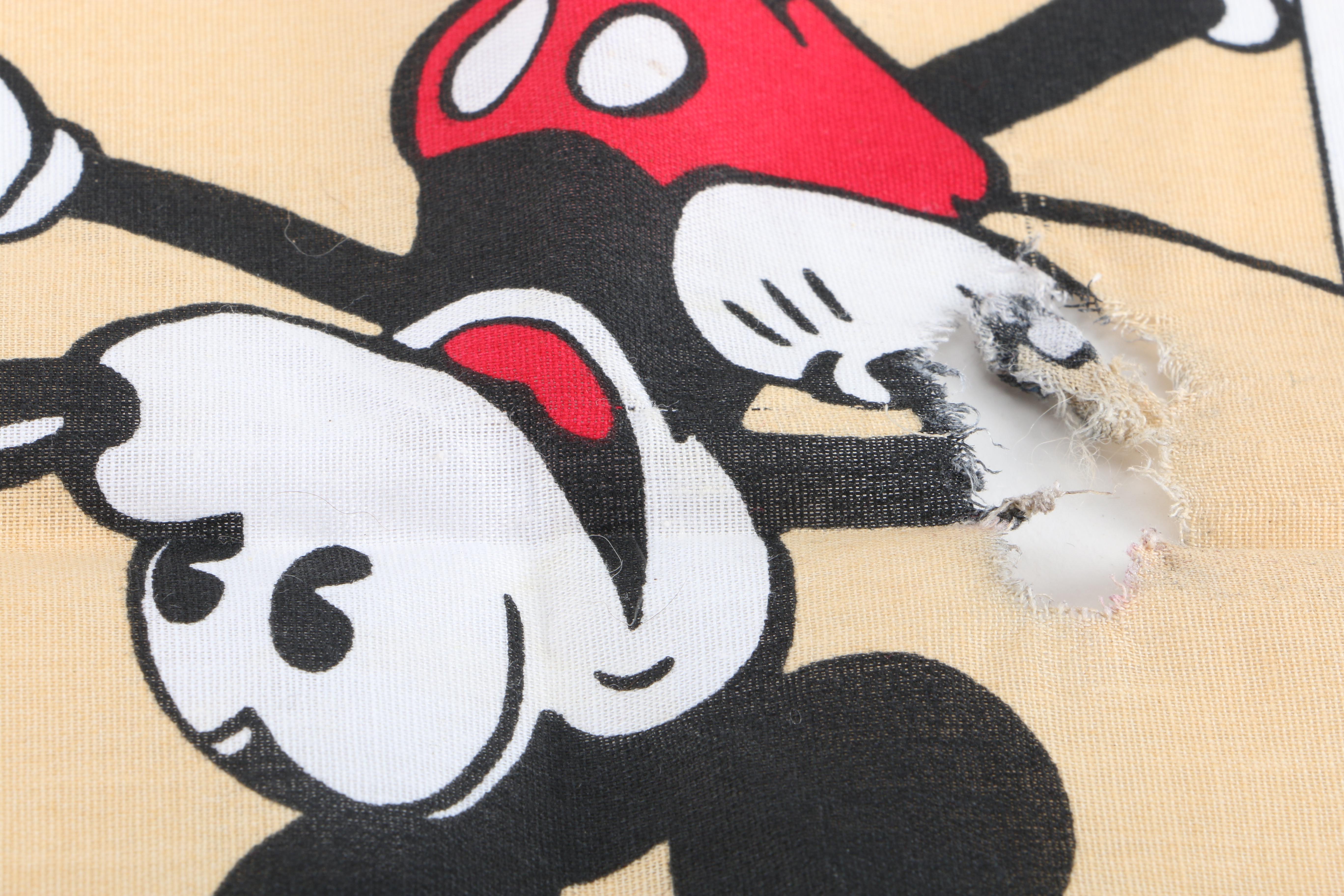 Disney and Mickey Mouse Collectibles