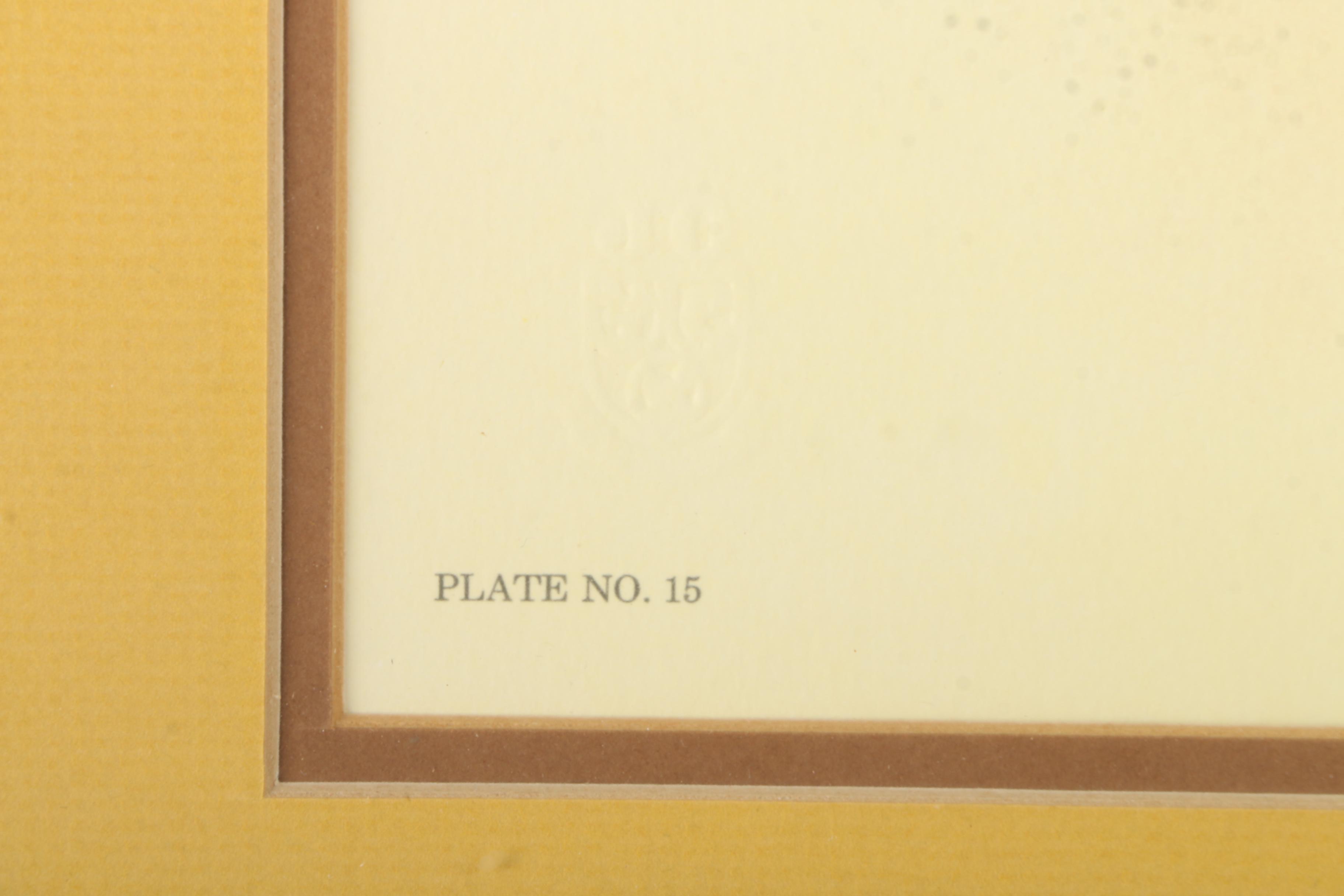 After Jim Oliver Offset Lithograph on Paper "Snowy Owl"