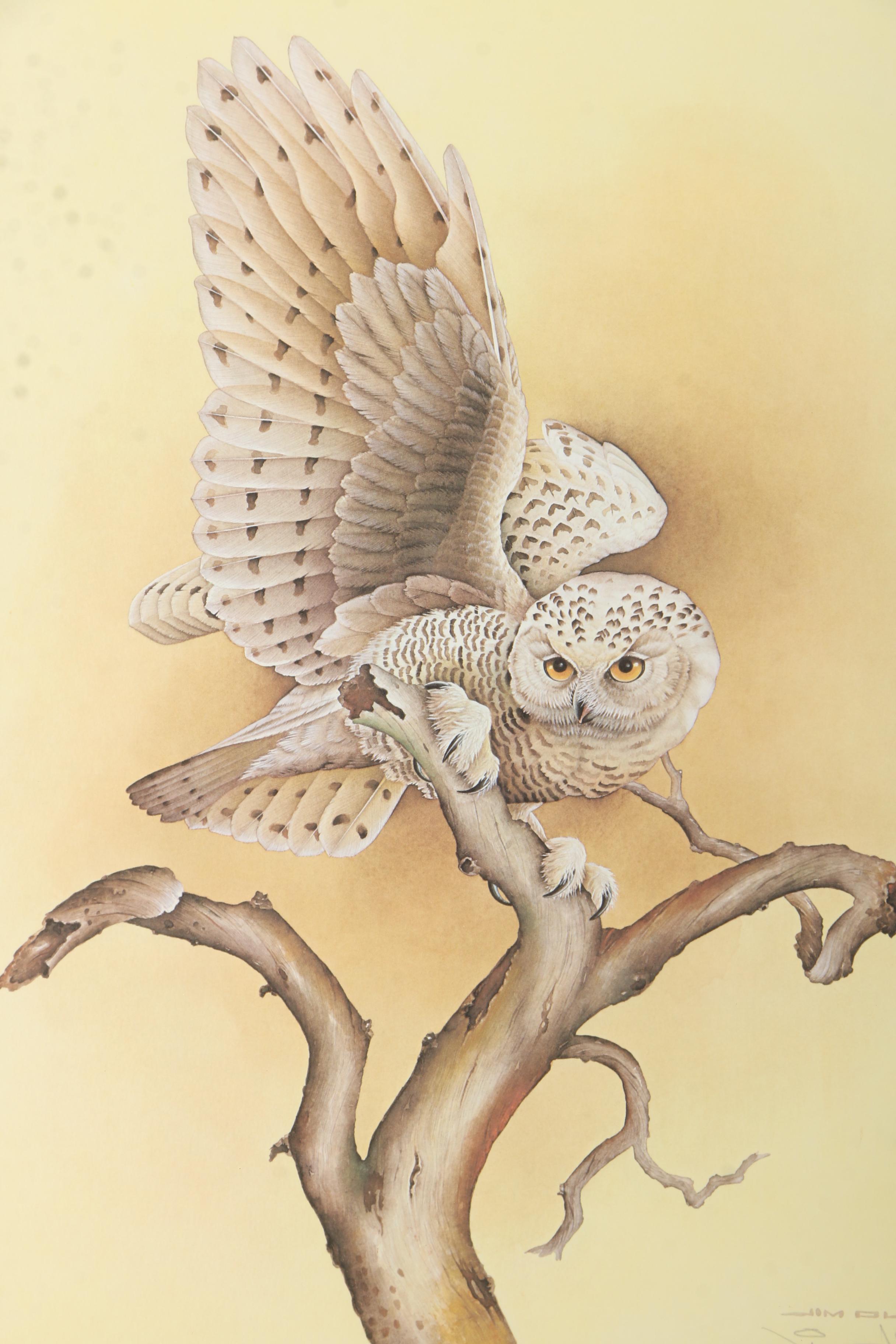 After Jim Oliver Offset Lithograph on Paper "Snowy Owl"
