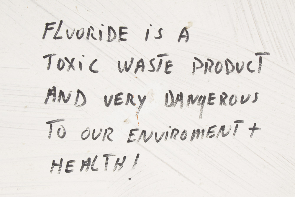 Sal Guastella "Swamp Surrender" 3D Painted Wood Composition