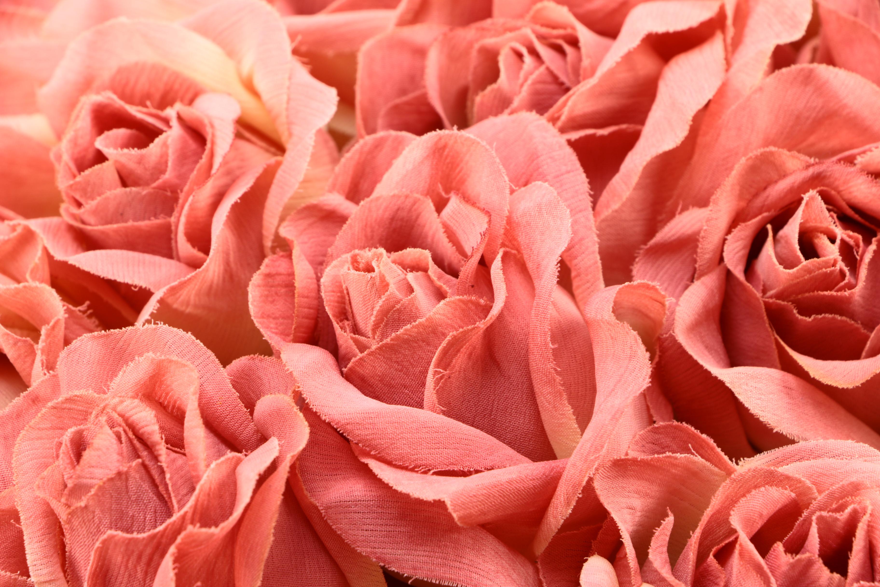 Rose Blossom Accent Pillow