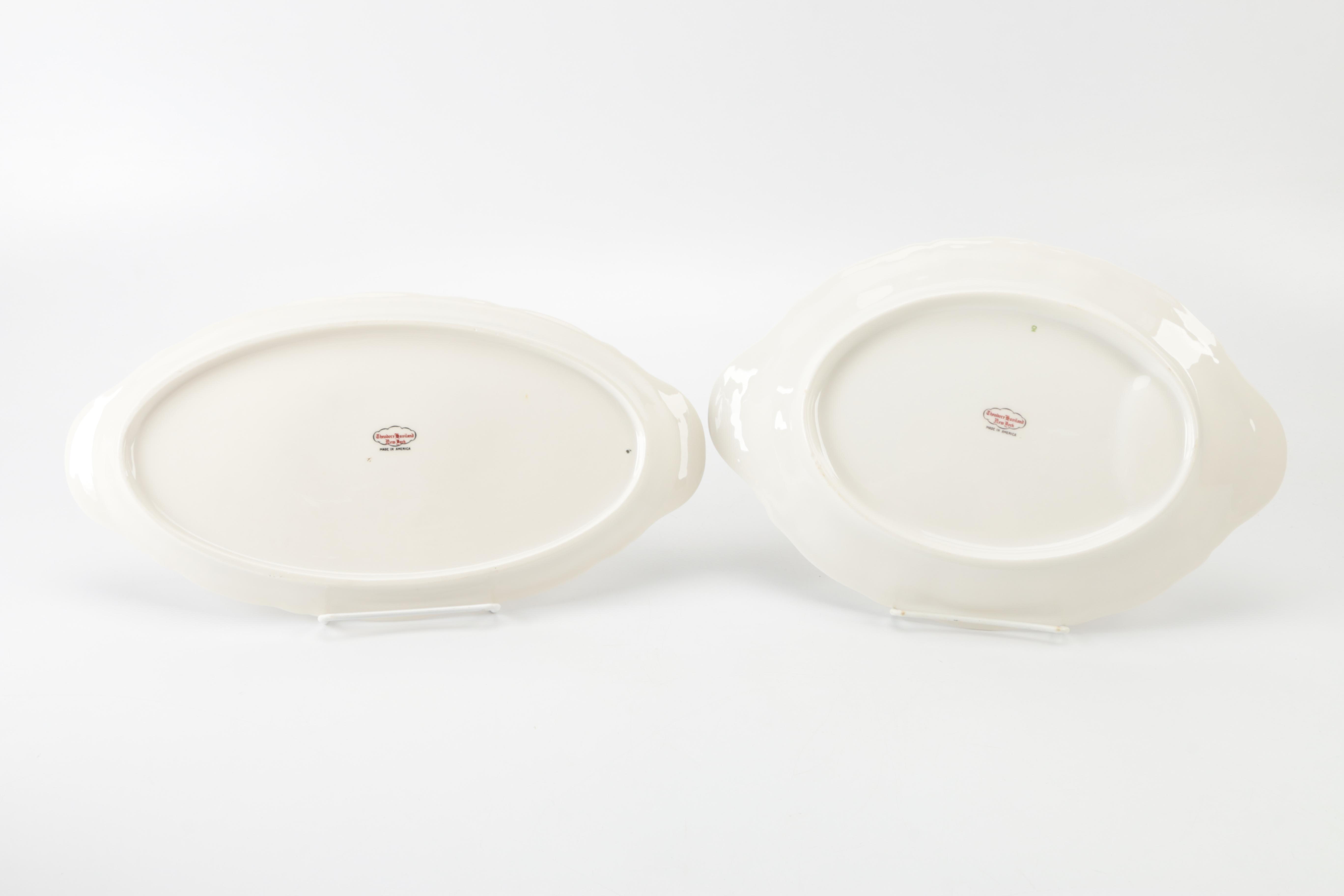Theodore Haviland New York Porcelain Dinnerware Set