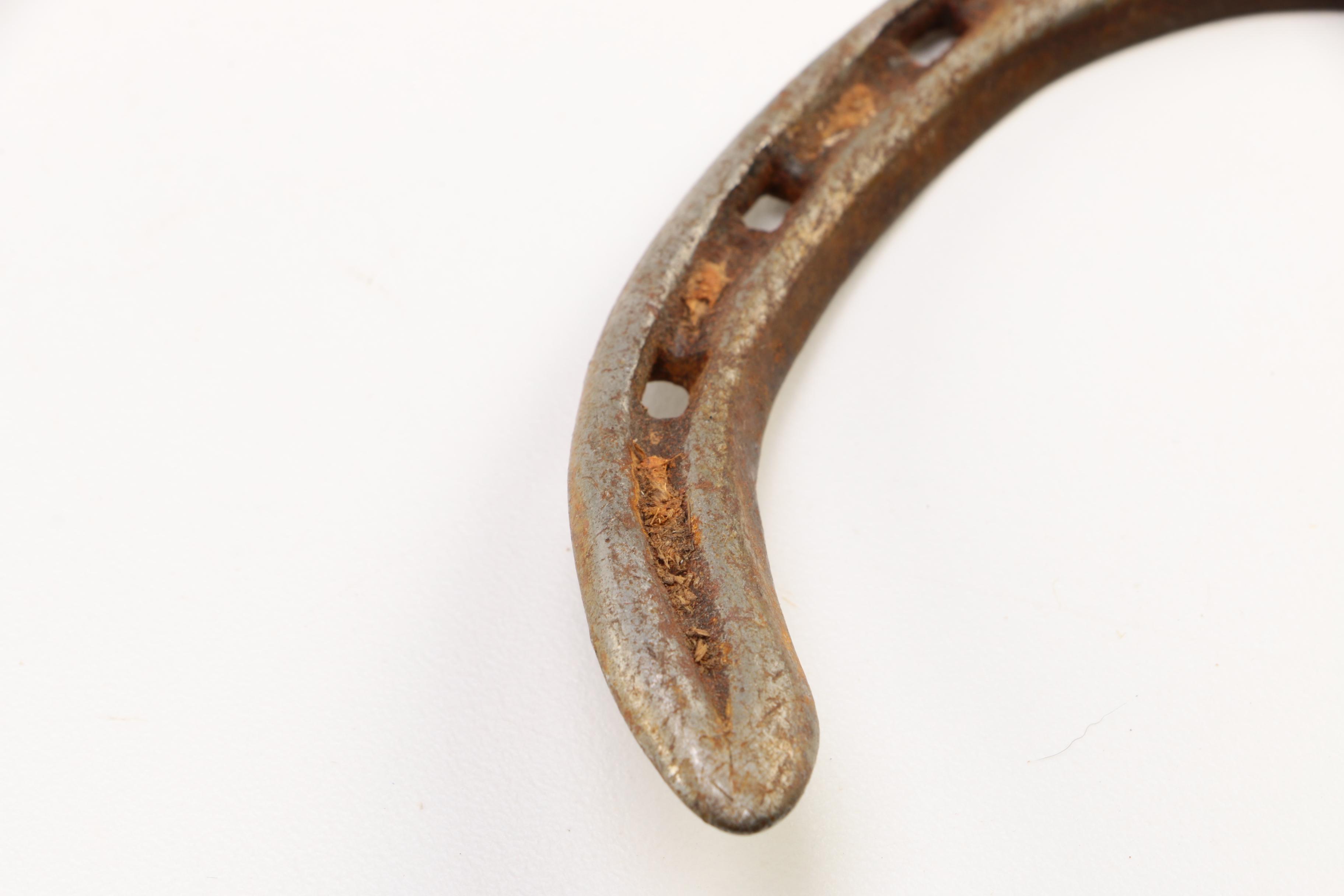 Assortment of Steel Horse Shoes