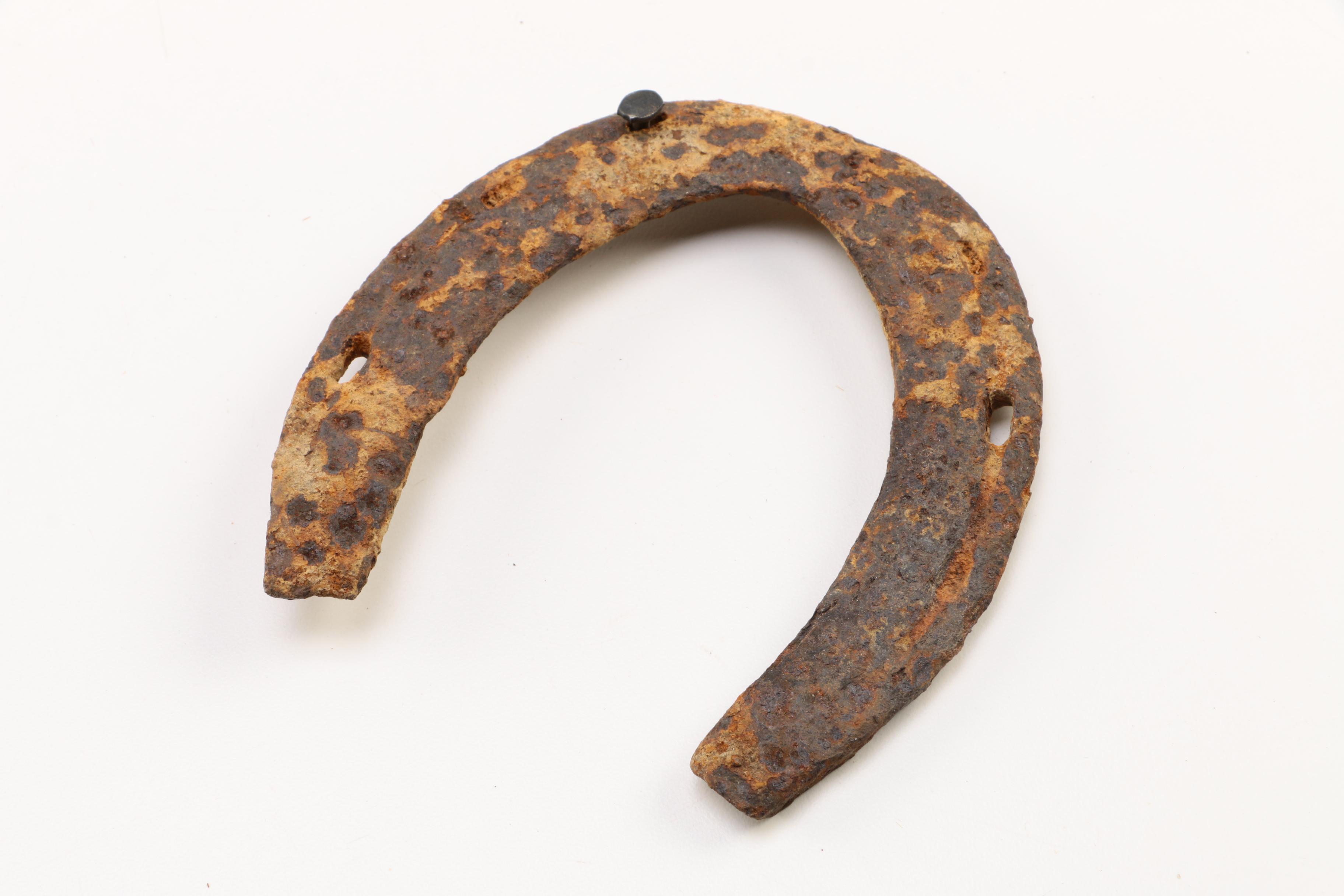 Assortment of Steel Horse Shoes