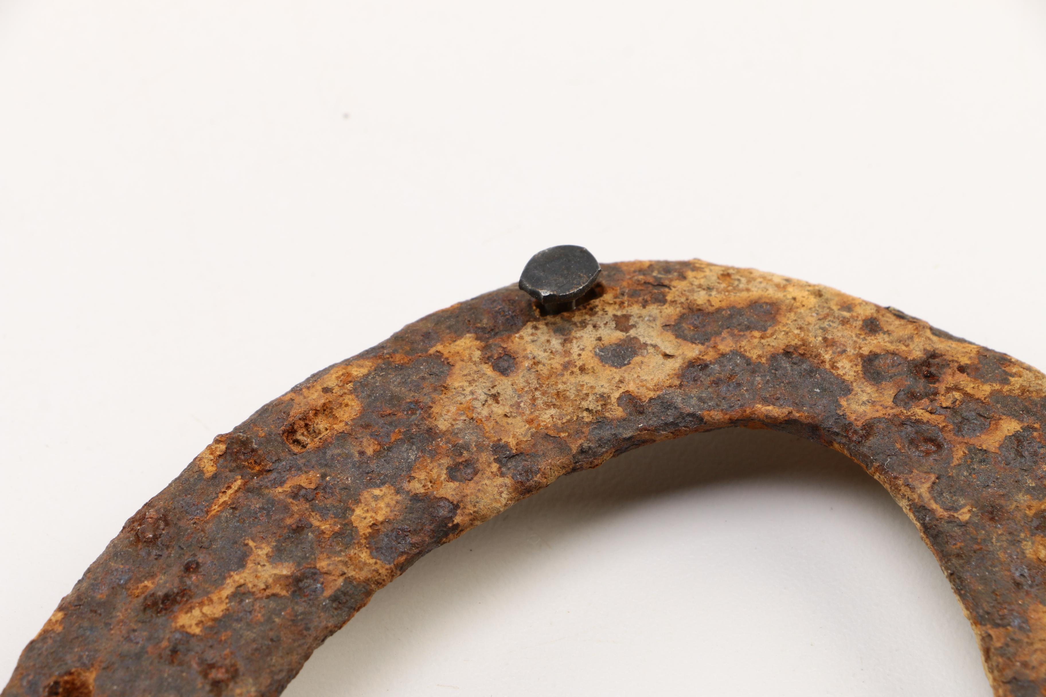 Assortment of Steel Horse Shoes