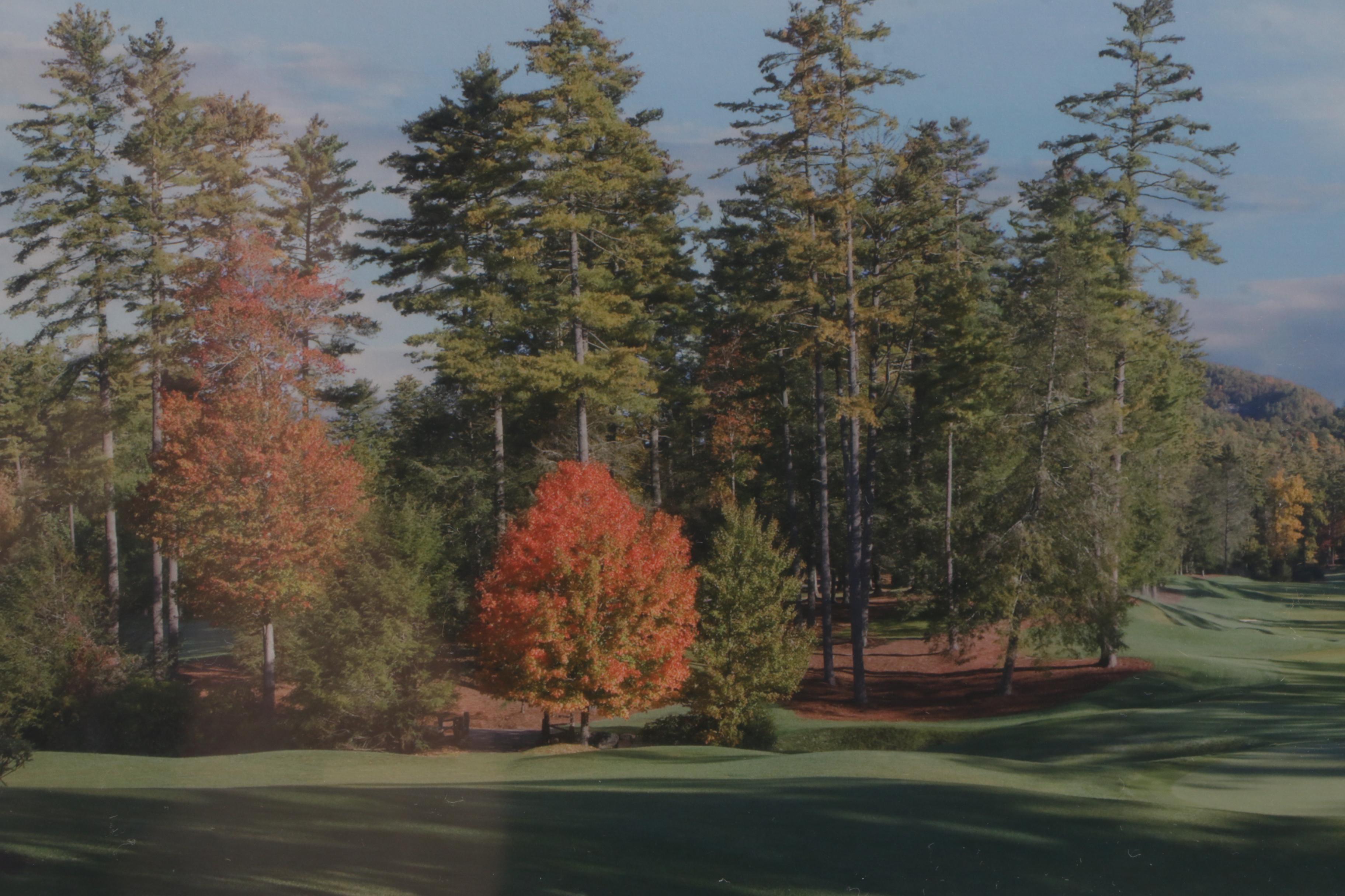 Golf Themed Prints Including Limited Edition Offset Lithograph After Bill Pendergrass