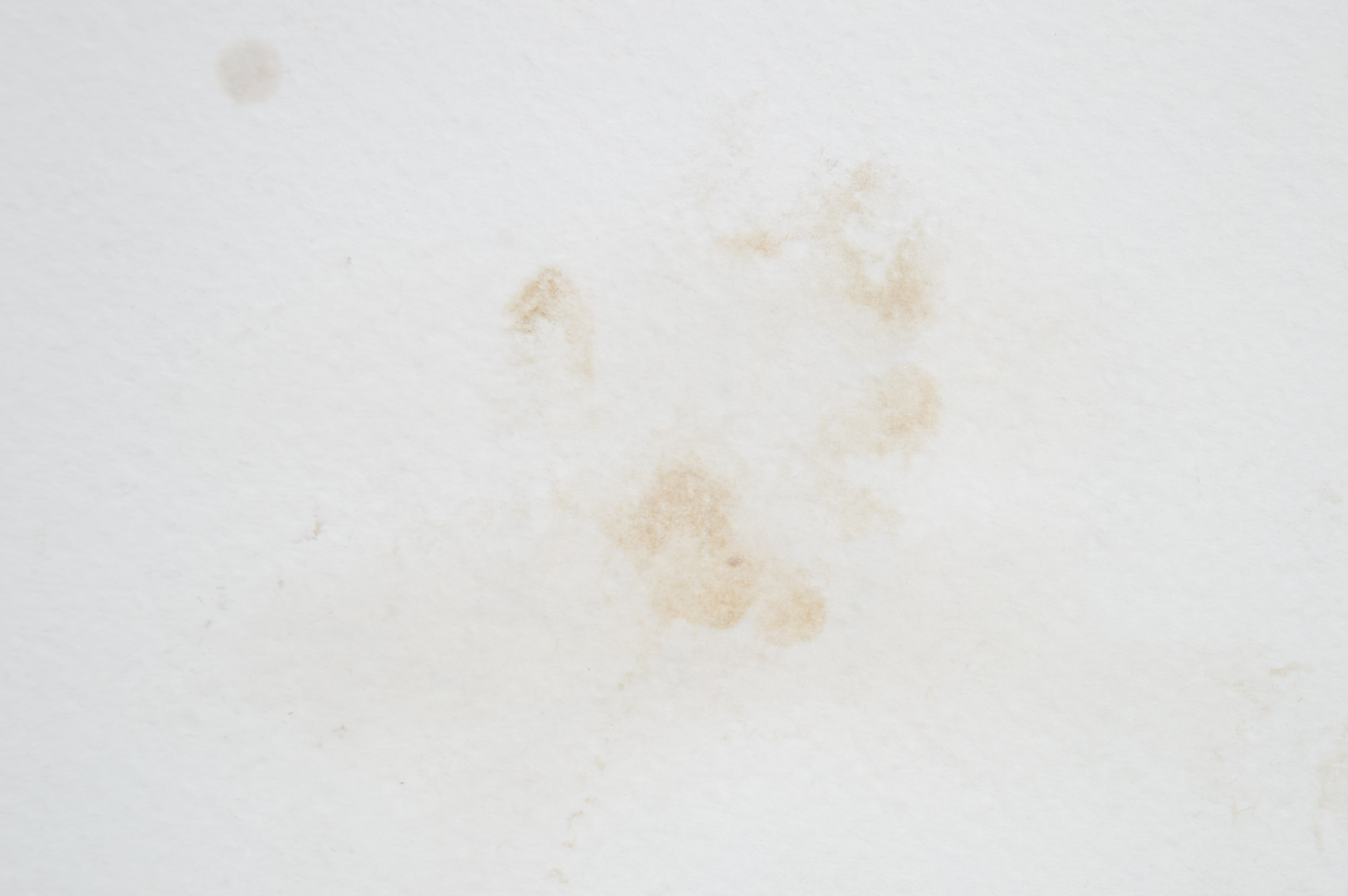 Signed and Numbered Serigraph Print "Summer Sonata" After Michael Rozenvain