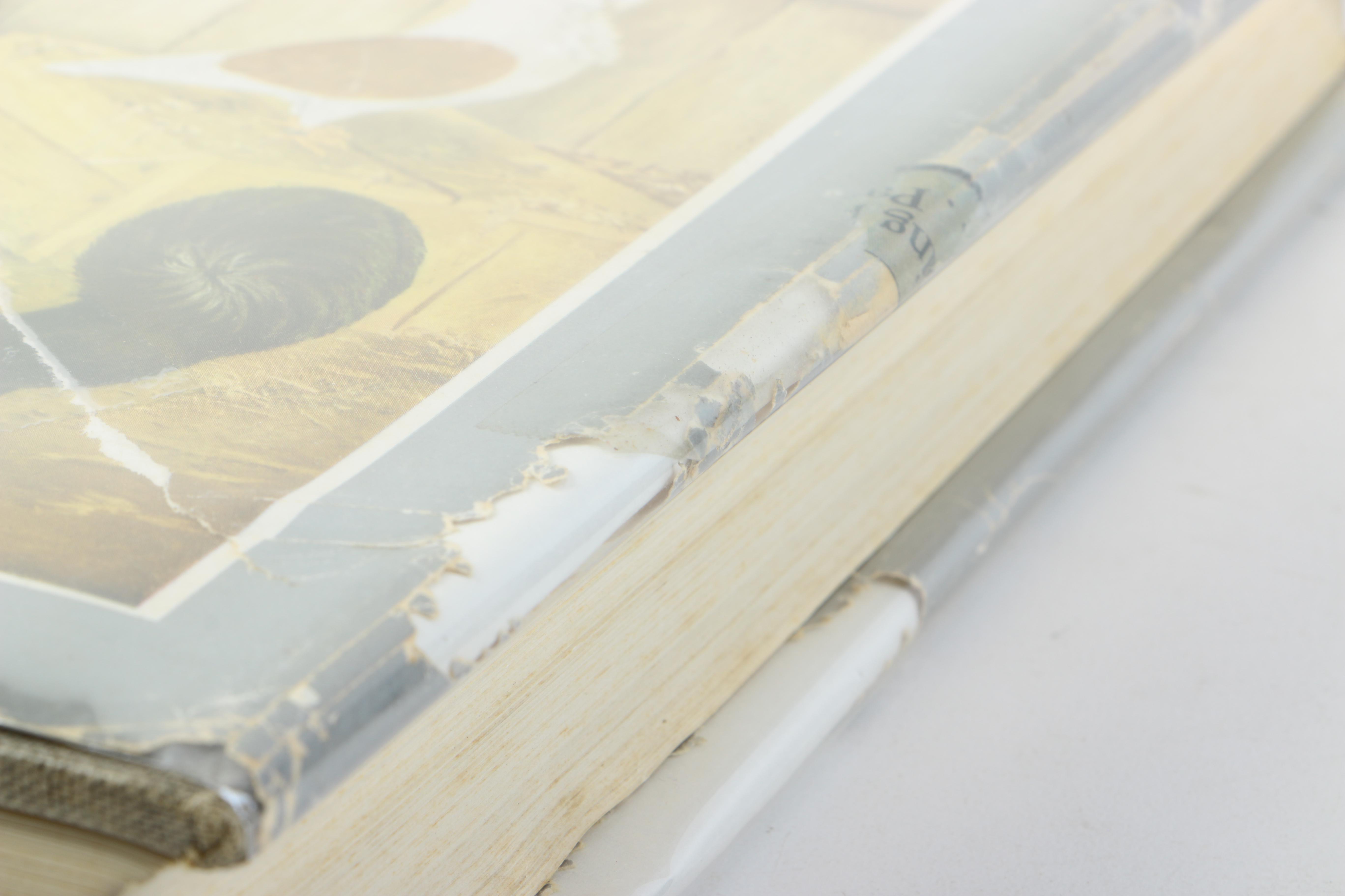 1941 First Trade Edition of "The Pigeon" by Wendell Mitchell Levi