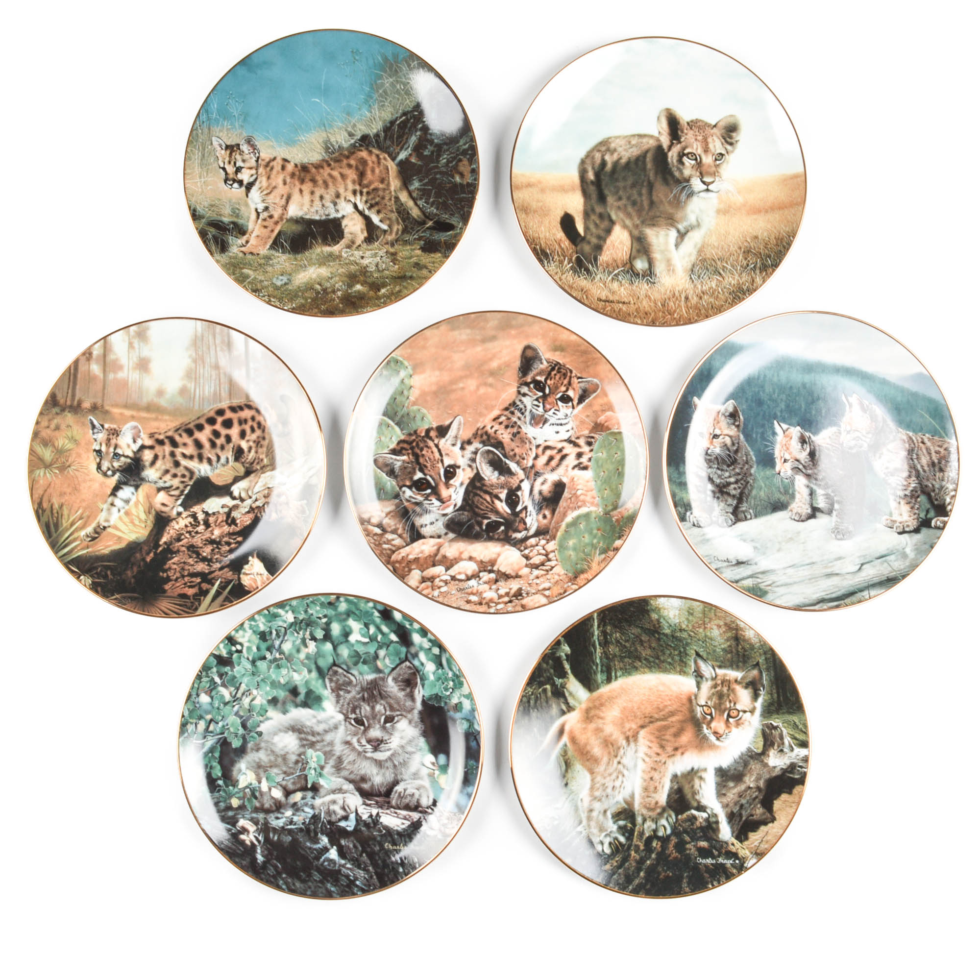 "Small Wonders Of the Wild" Plate Collection By Hamilton