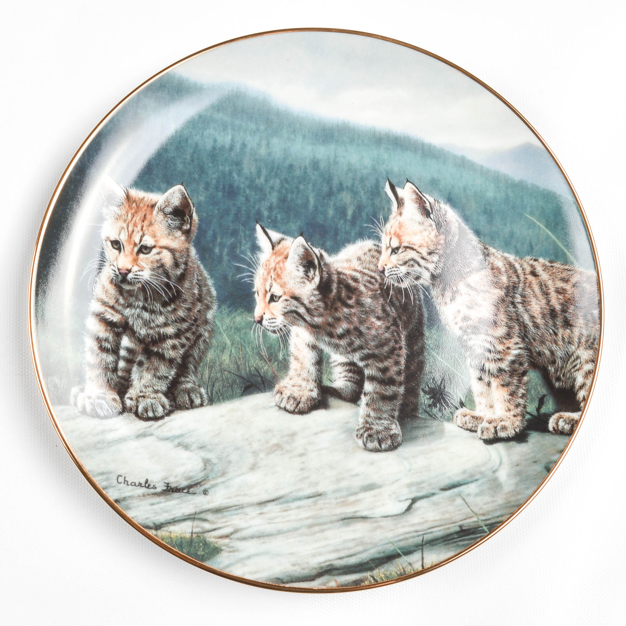 "Small Wonders Of the Wild" Plate Collection By Hamilton