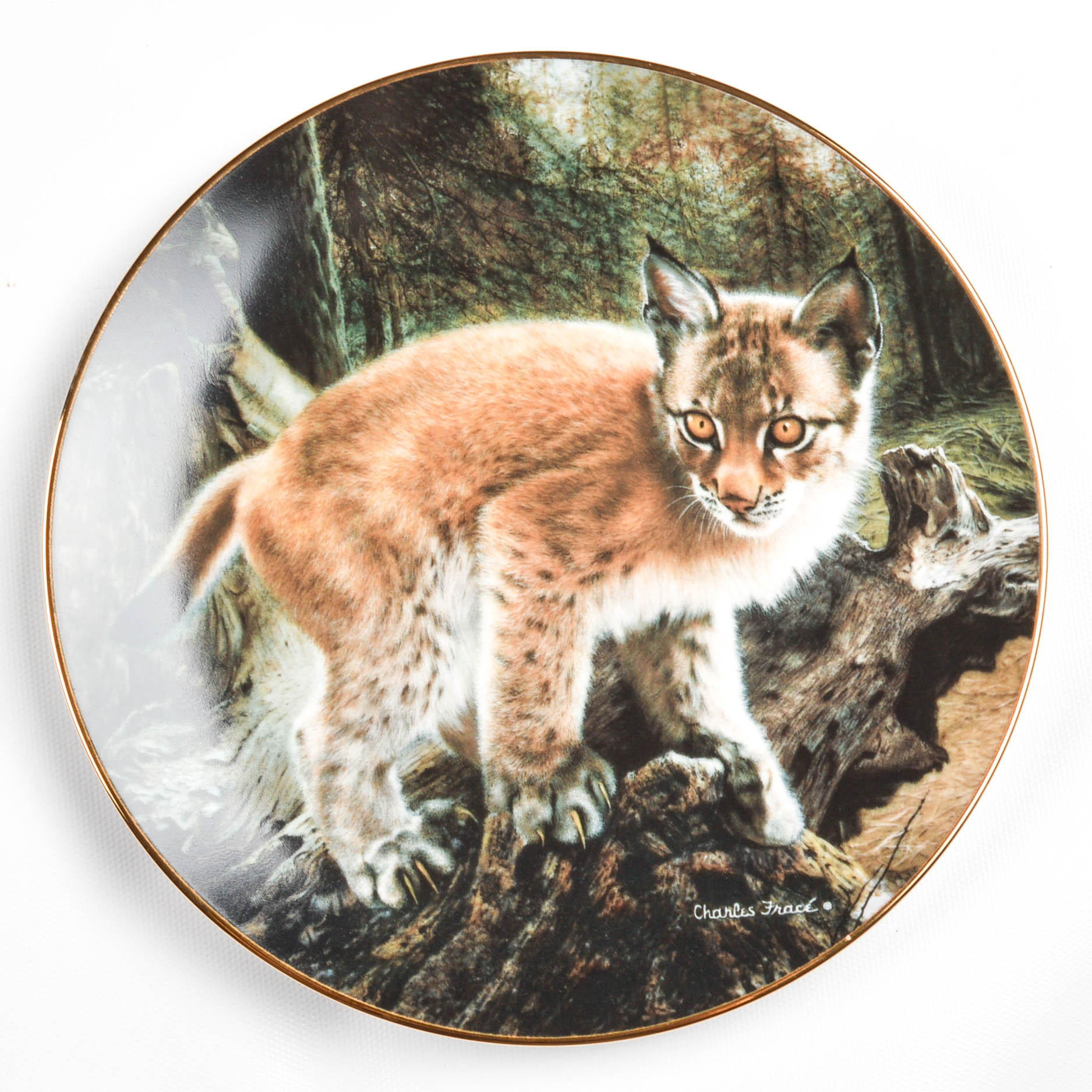 "Small Wonders Of the Wild" Plate Collection By Hamilton