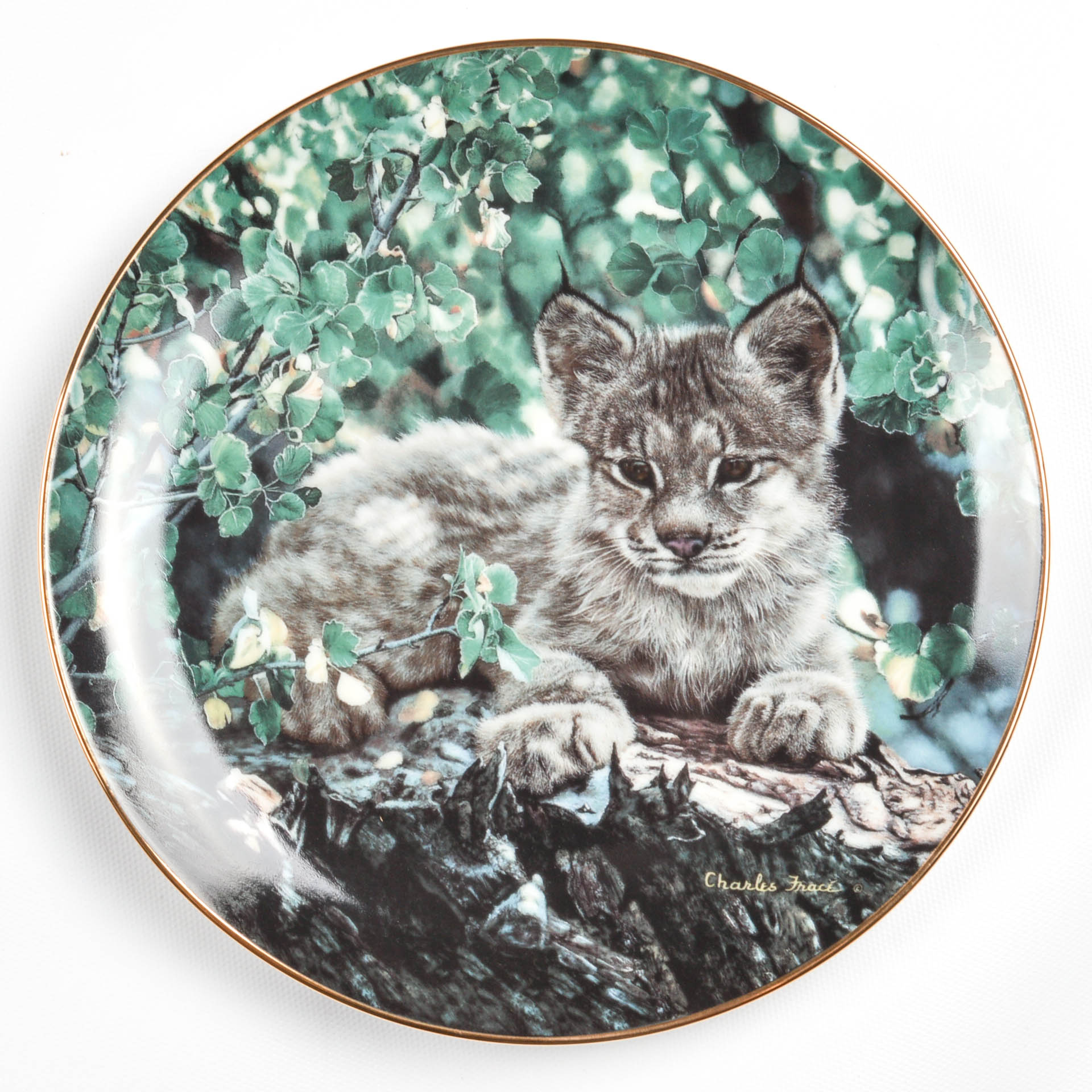 "Small Wonders Of the Wild" Plate Collection By Hamilton