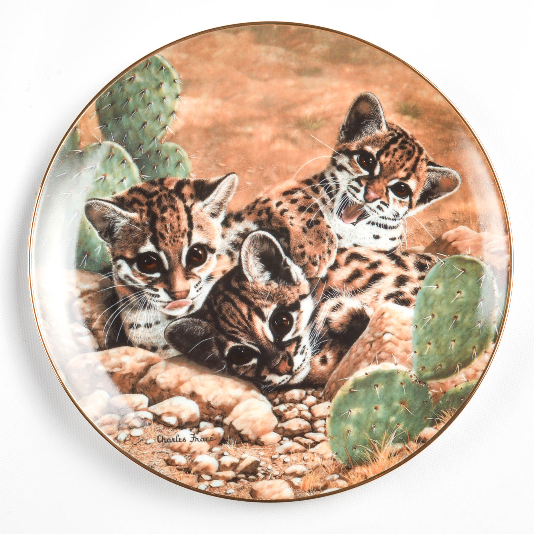 "Small Wonders Of the Wild" Plate Collection By Hamilton