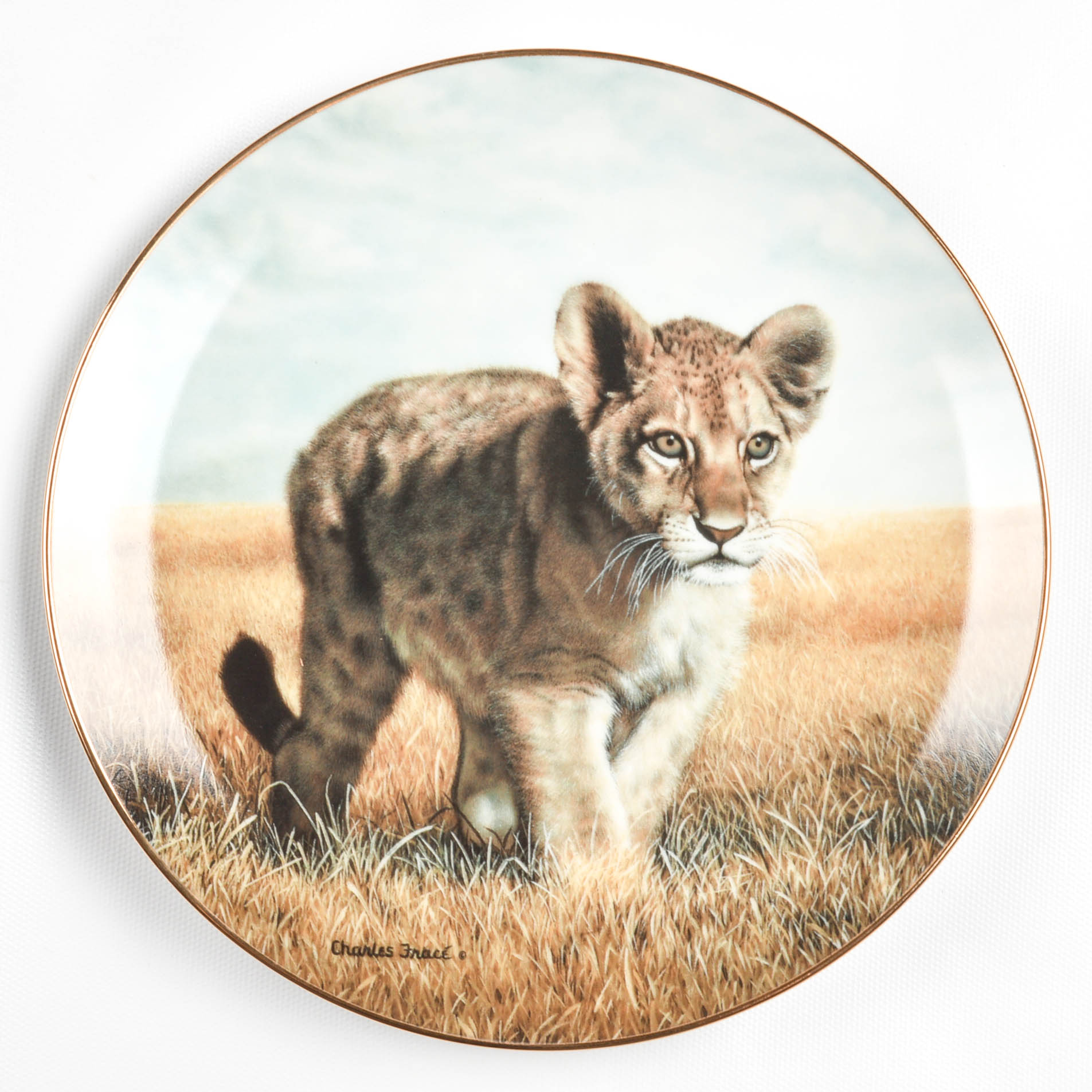"Small Wonders Of the Wild" Plate Collection By Hamilton